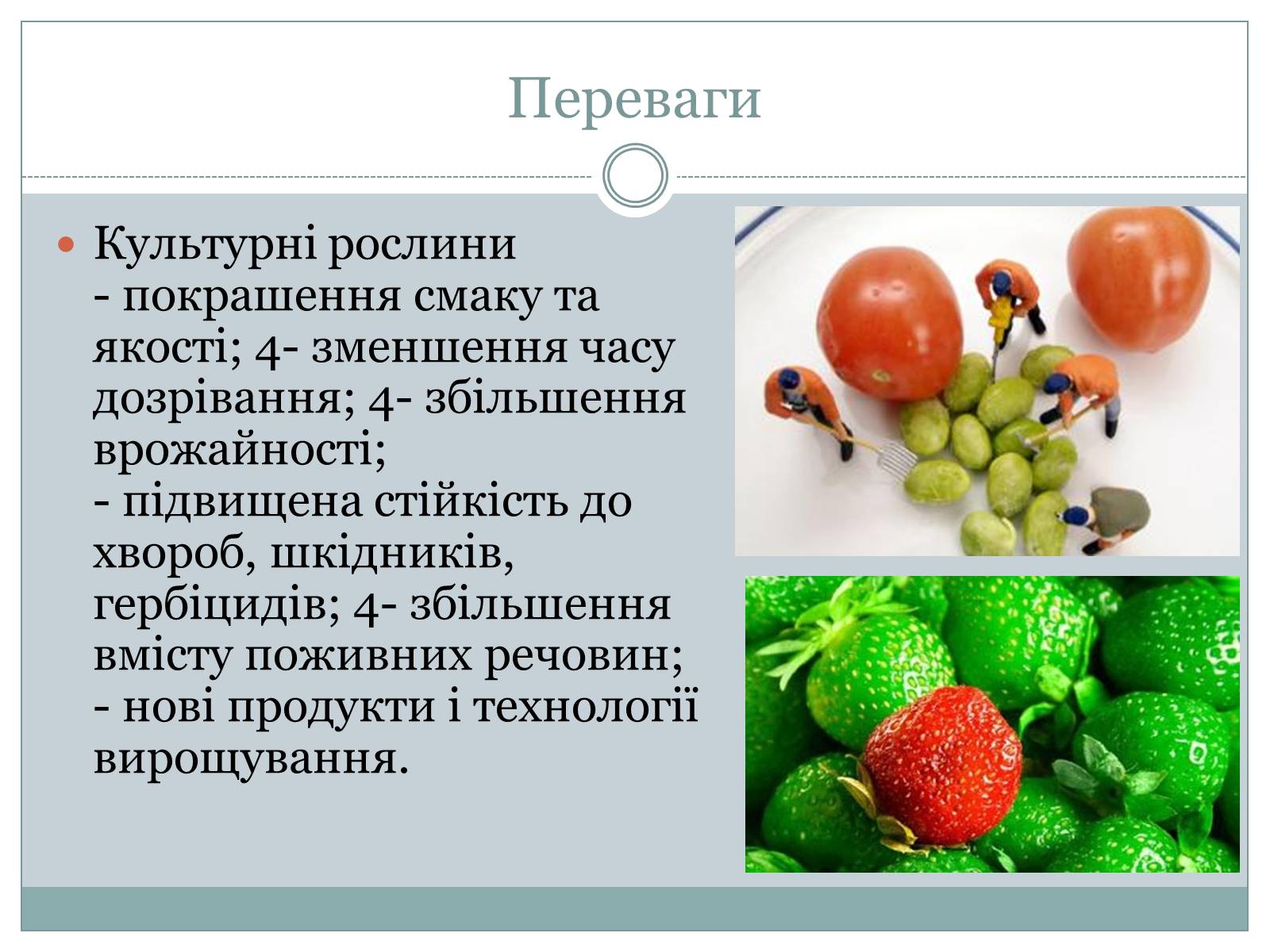 Презентація на тему «ГМО» (варіант 4) - Слайд #12 Презентація на тему «ГМО» (варіант 4) - Слайд #12