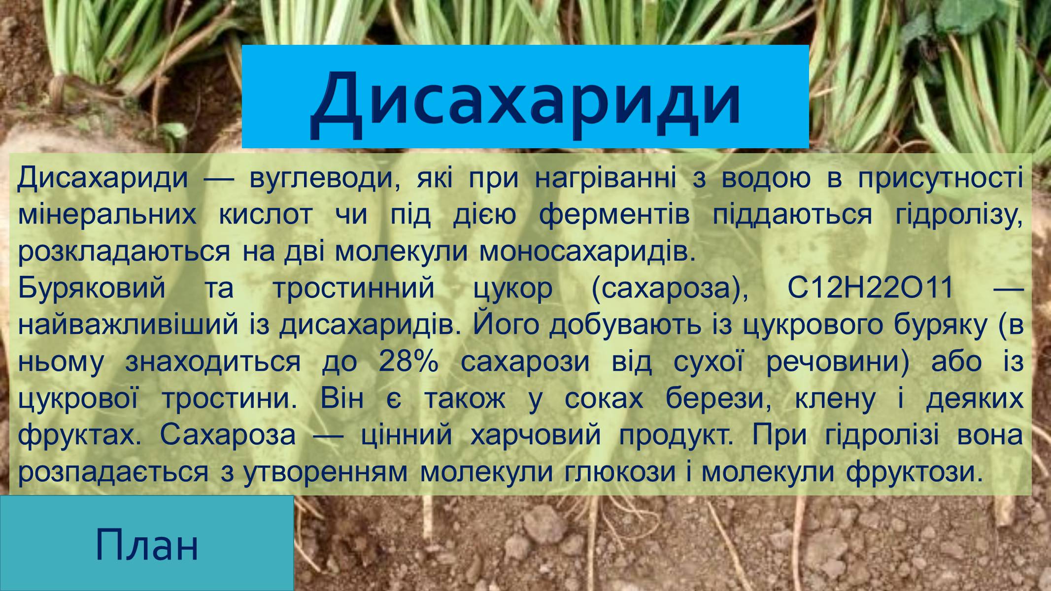 Презентація на тему «Вуглеводи як компоненти їжі, їх роль у житті людини» (варіант 25) - Слайд #10 Презентація на тему «Вуглеводи як компоненти їжі, їх роль у житті людини» (варіант 25) - Слайд #10