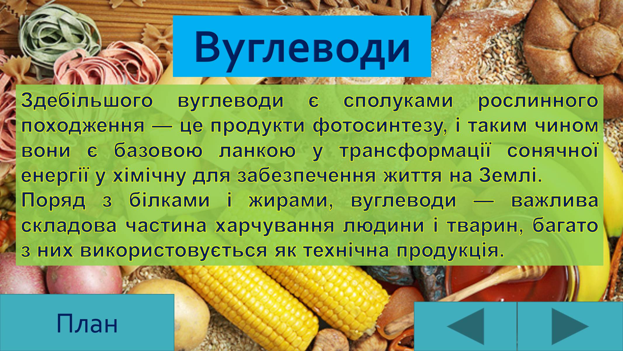 Презентація на тему «Вуглеводи як компоненти їжі, їх роль у житті людини» (варіант 25) - Слайд #4 Презентація на тему «Вуглеводи як компоненти їжі, їх роль у житті людини» (варіант 25) - Слайд #4