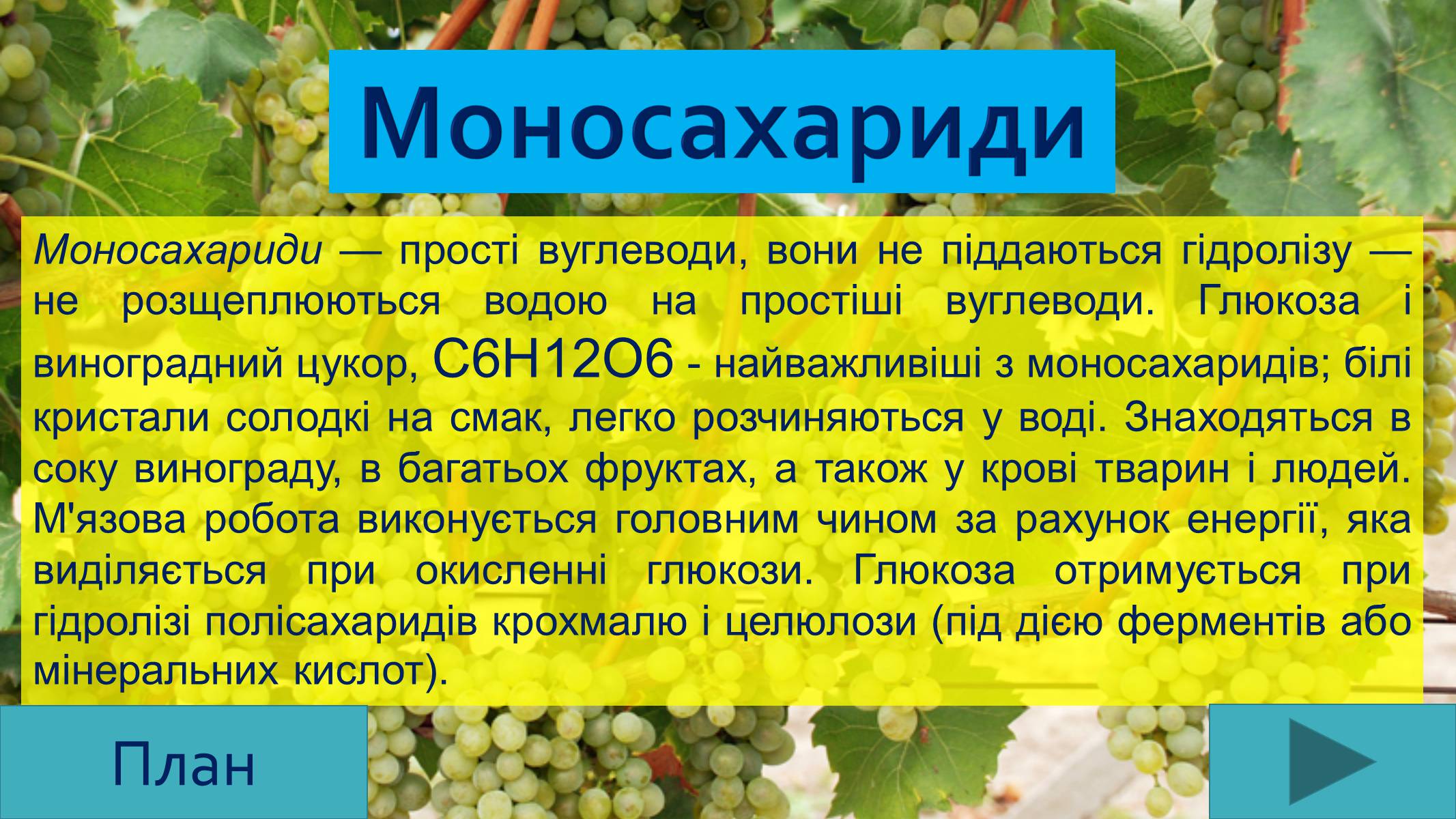 Презентація на тему «Вуглеводи як компоненти їжі, їх роль у житті людини» (варіант 25) - Слайд #6 Презентація на тему «Вуглеводи як компоненти їжі, їх роль у житті людини» (варіант 25) - Слайд #6