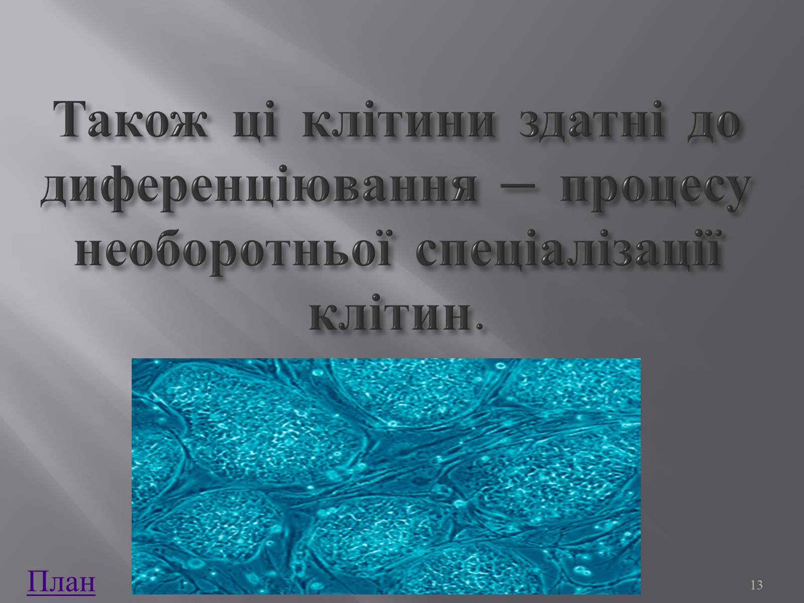Презентація на тему «Клонування і ембріотехнології» (варіант 1) - Слайд #13 Презентація на тему «Клонування і ембріотехнології» (варіант 1) - Слайд #13