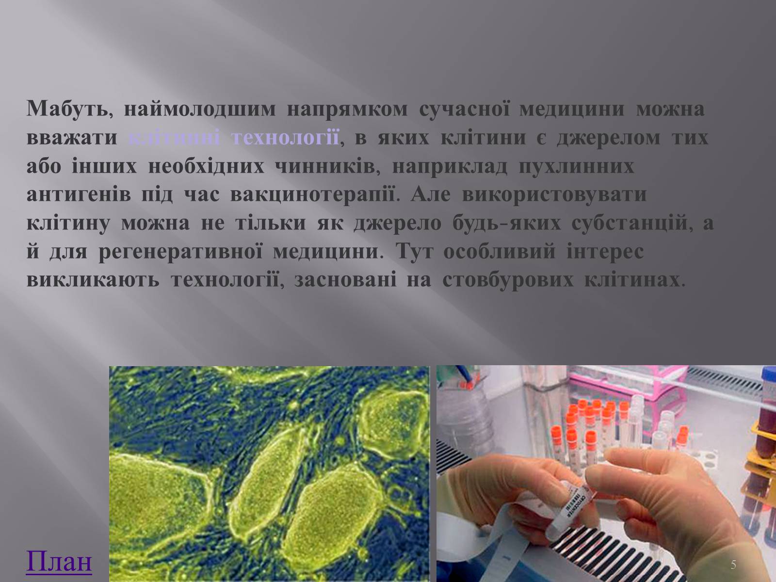 Презентація на тему «Клонування і ембріотехнології» (варіант 1) - Слайд #5 Презентація на тему «Клонування і ембріотехнології» (варіант 1) - Слайд #5