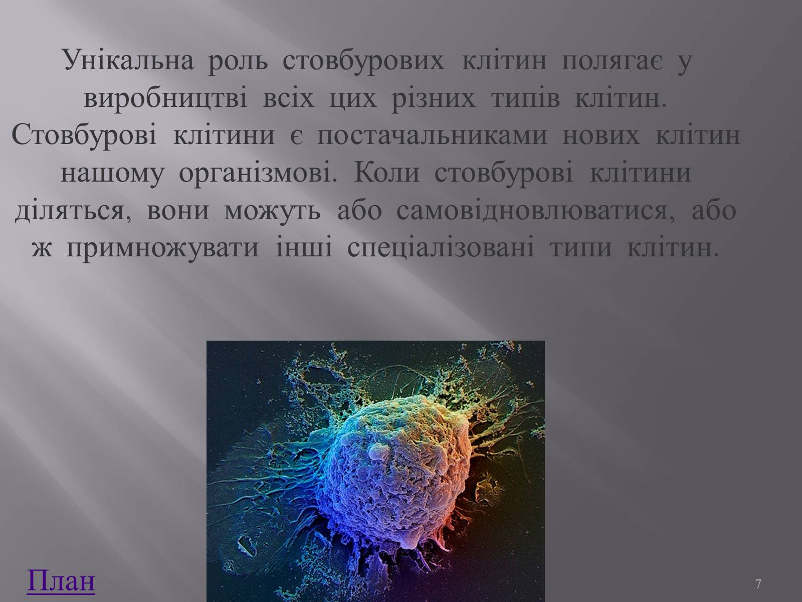 Презентація на тему «Клонування і ембріотехнології» (варіант 1) - Слайд #7 Презентація на тему «Клонування і ембріотехнології» (варіант 1) - Слайд #7