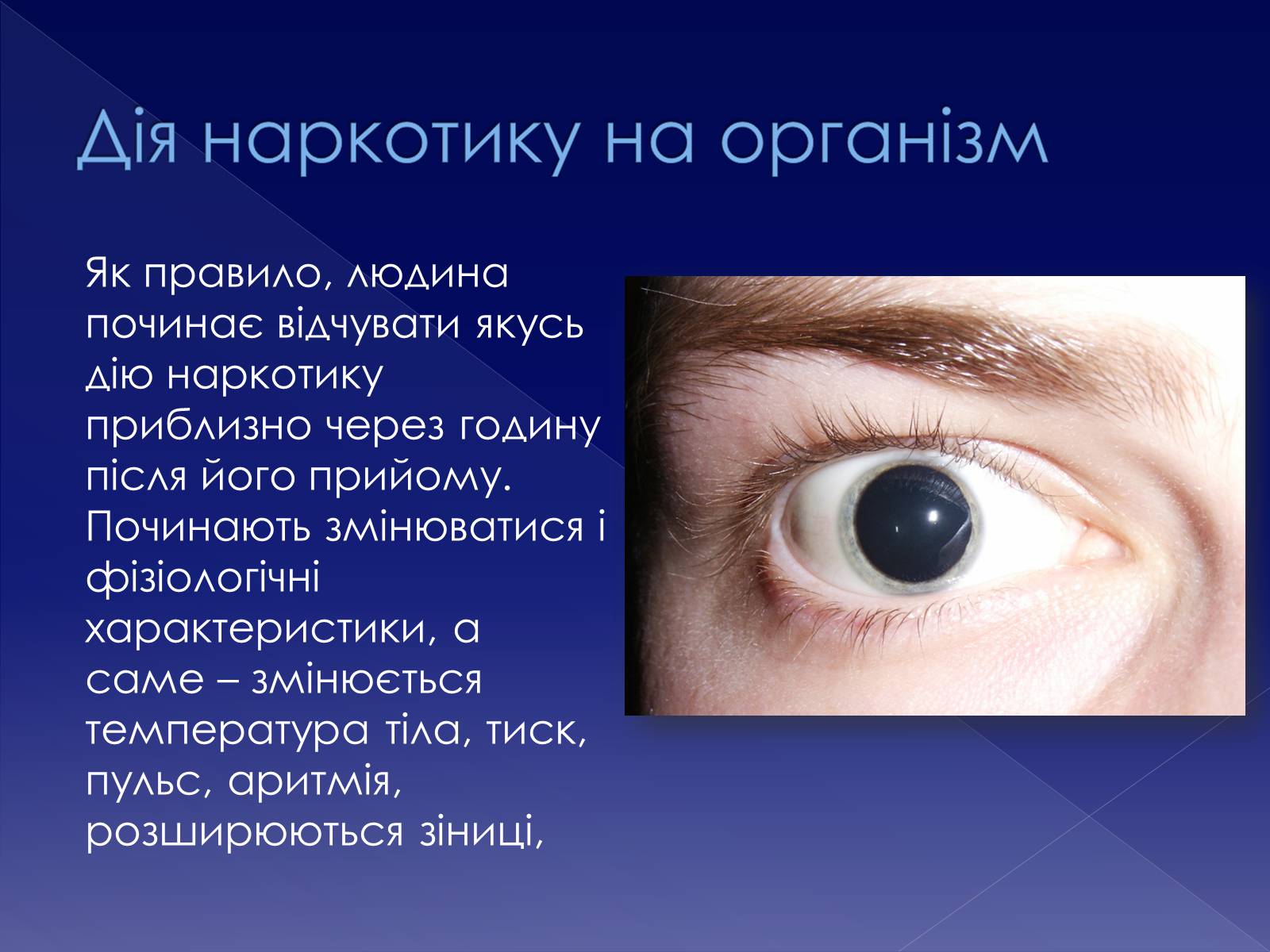 Презентація на тему «Галюциногени. ЛСД» - Слайд #12 Презентація на тему «Галюциногени. ЛСД» - Слайд #12