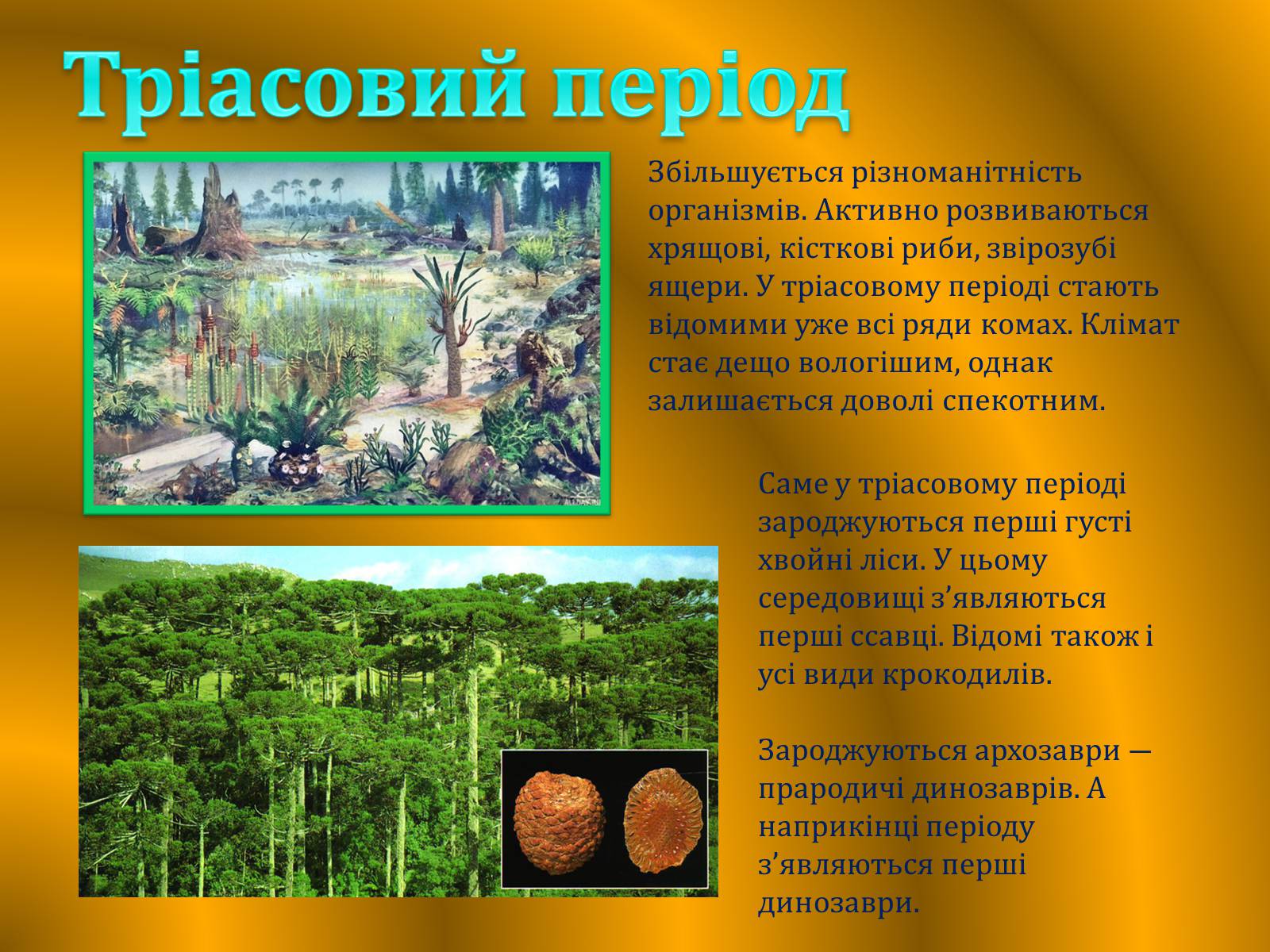 Презентація на тему «Земля: еволюція життя» - Слайд #11 Презентація на тему «Земля: еволюція життя» - Слайд #11