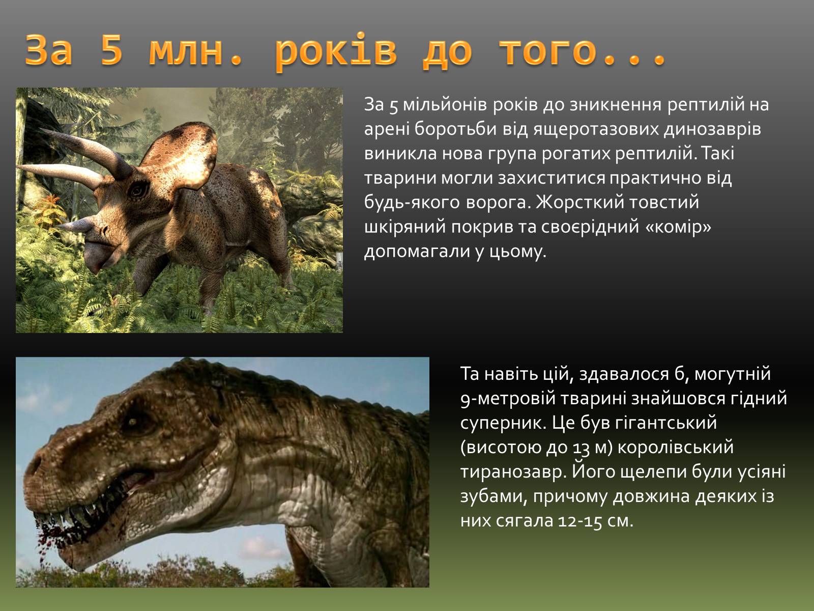 Презентація на тему «Земля: еволюція життя» - Слайд #14 Презентація на тему «Земля: еволюція життя» - Слайд #14