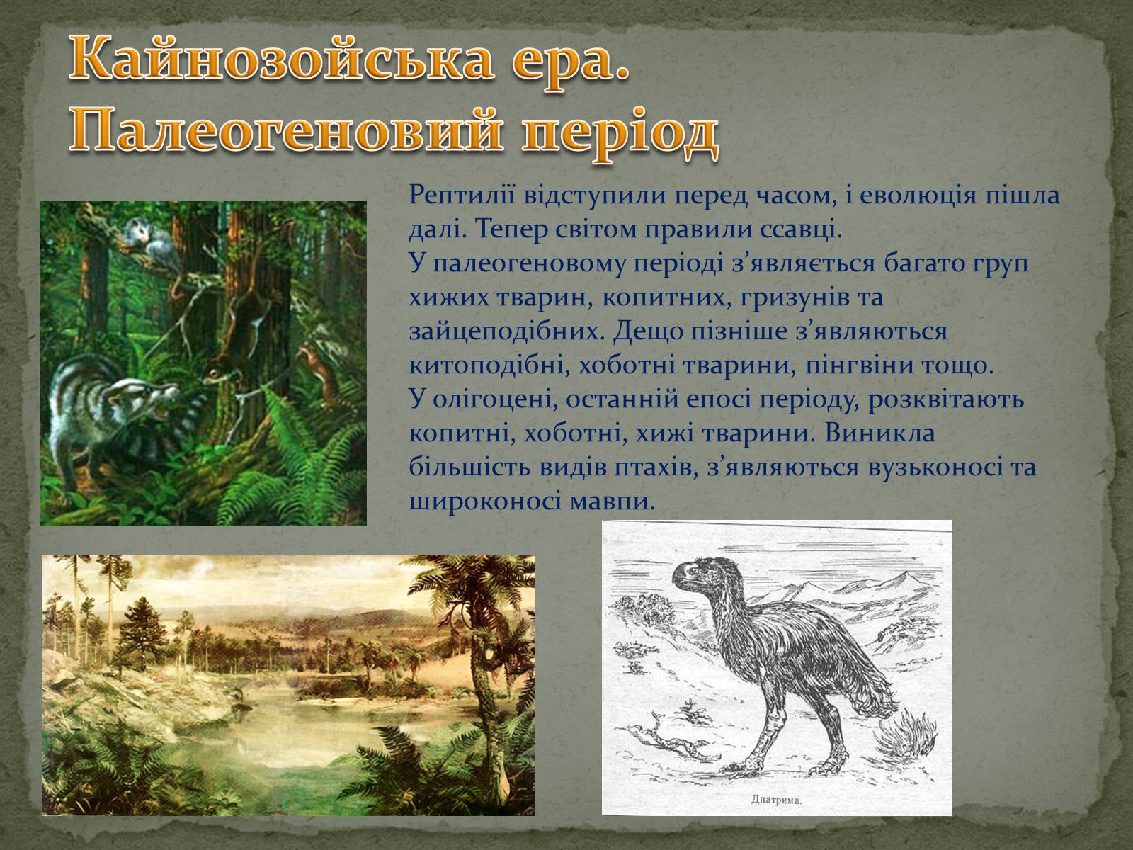 Презентація на тему «Земля: еволюція життя» - Слайд #15 Презентація на тему «Земля: еволюція життя» - Слайд #15