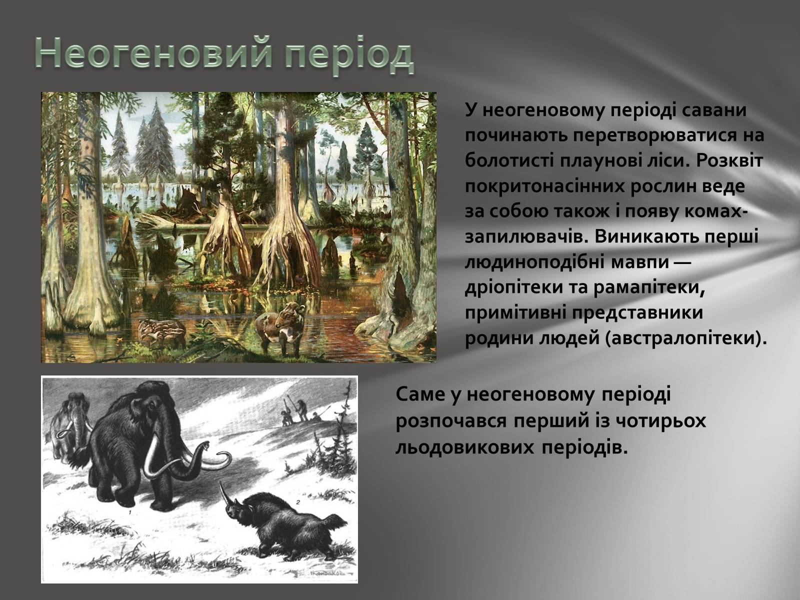 Презентація на тему «Земля: еволюція життя» - Слайд #16 Презентація на тему «Земля: еволюція життя» - Слайд #16