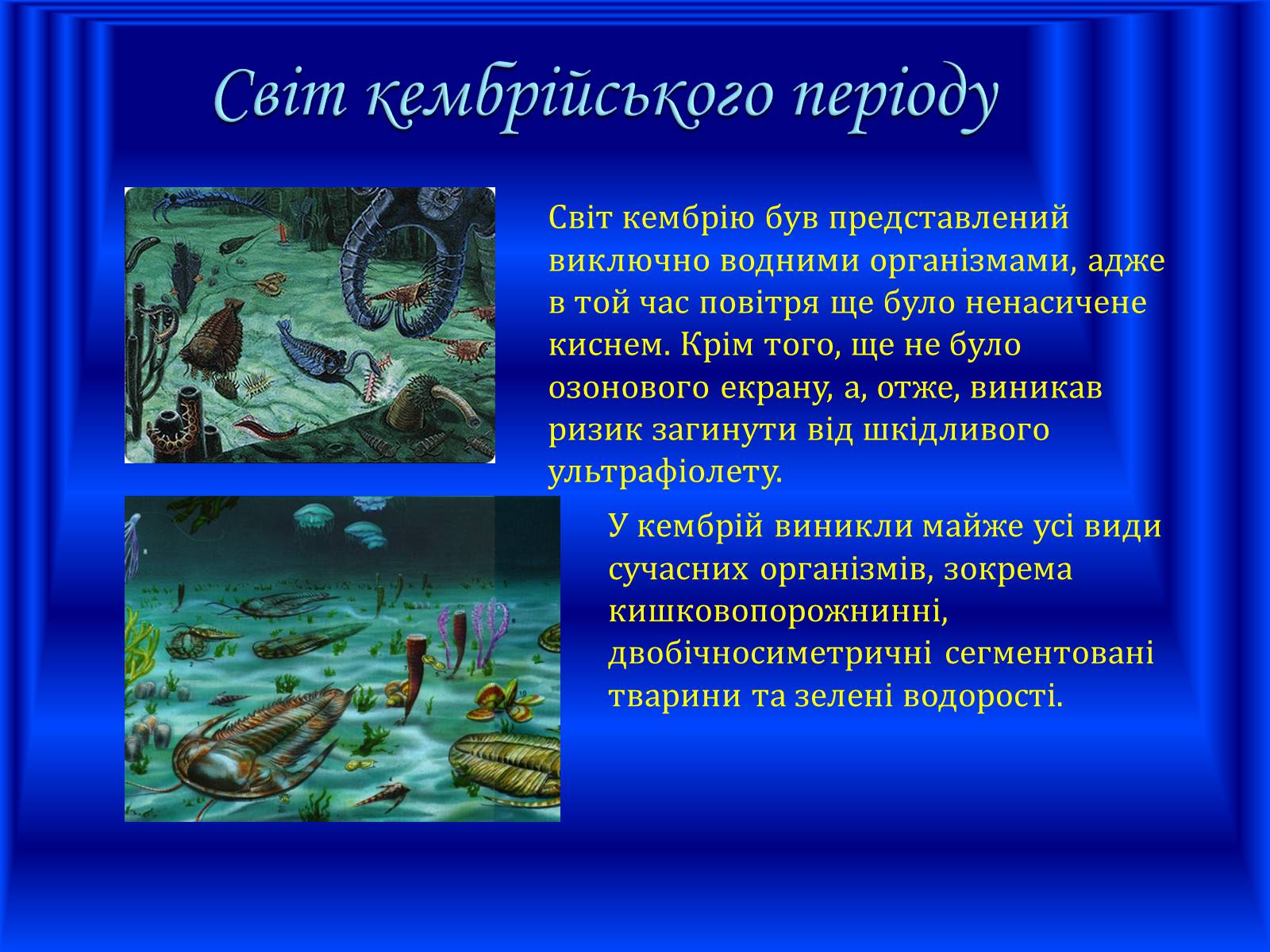 Презентація на тему «Земля: еволюція життя» - Слайд #5 Презентація на тему «Земля: еволюція життя» - Слайд #5
