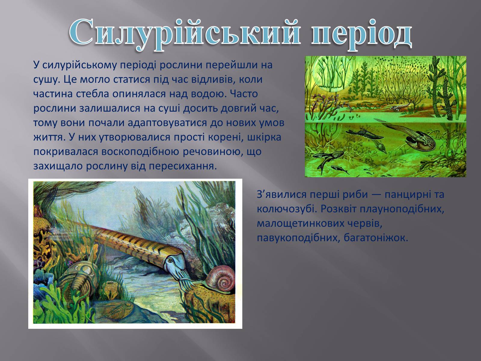 Презентація на тему «Земля: еволюція життя» - Слайд #7 Презентація на тему «Земля: еволюція життя» - Слайд #7