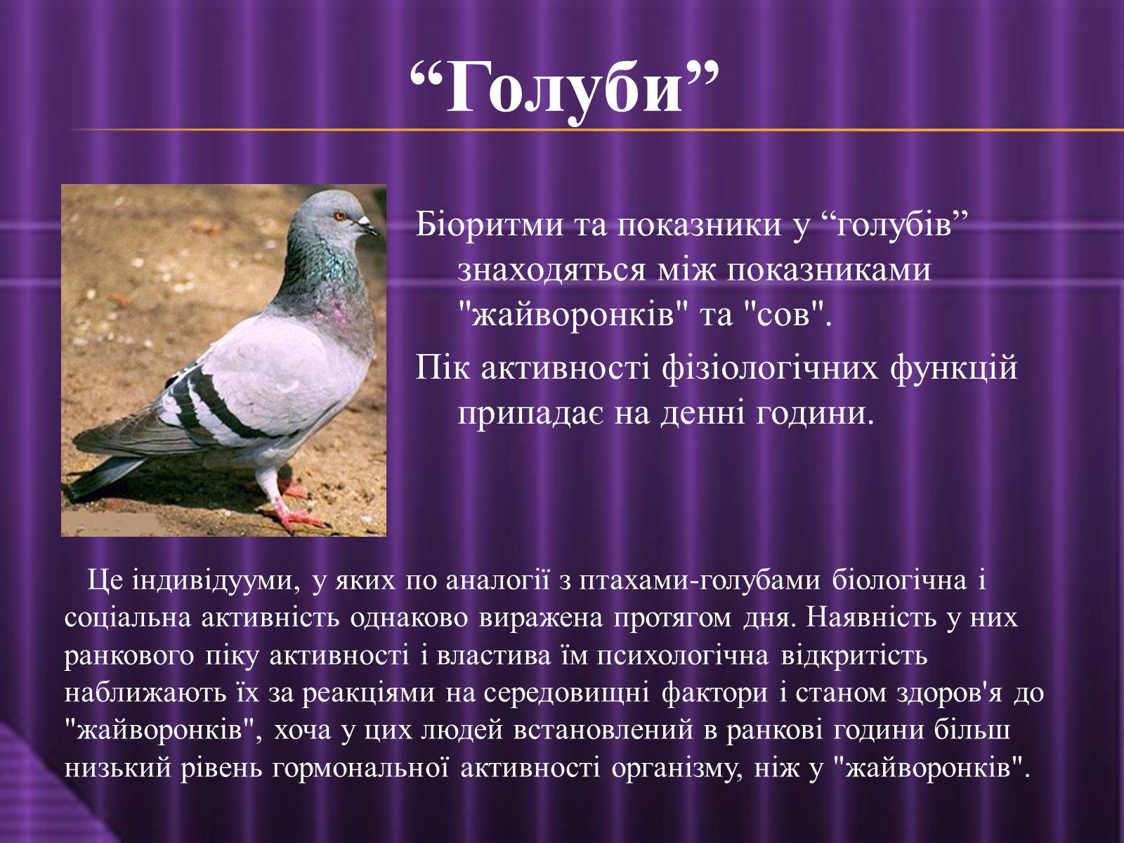 Презентація на тему «Ритмічне життя» - Слайд #17 Презентація на тему «Ритмічне життя» - Слайд #17