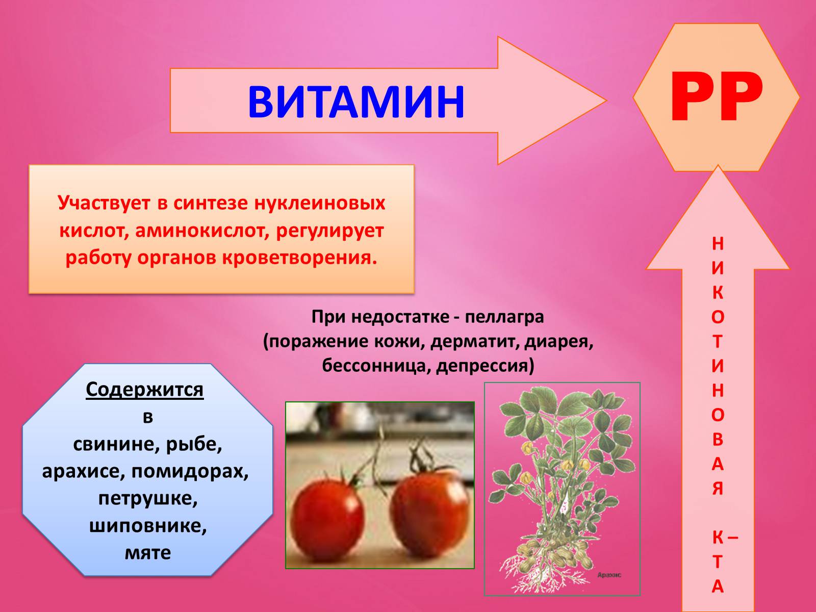 Презентація на тему «Витамины» (варіант 1) - Слайд #13 Презентація на тему «Витамины» (варіант 1) - Слайд #13