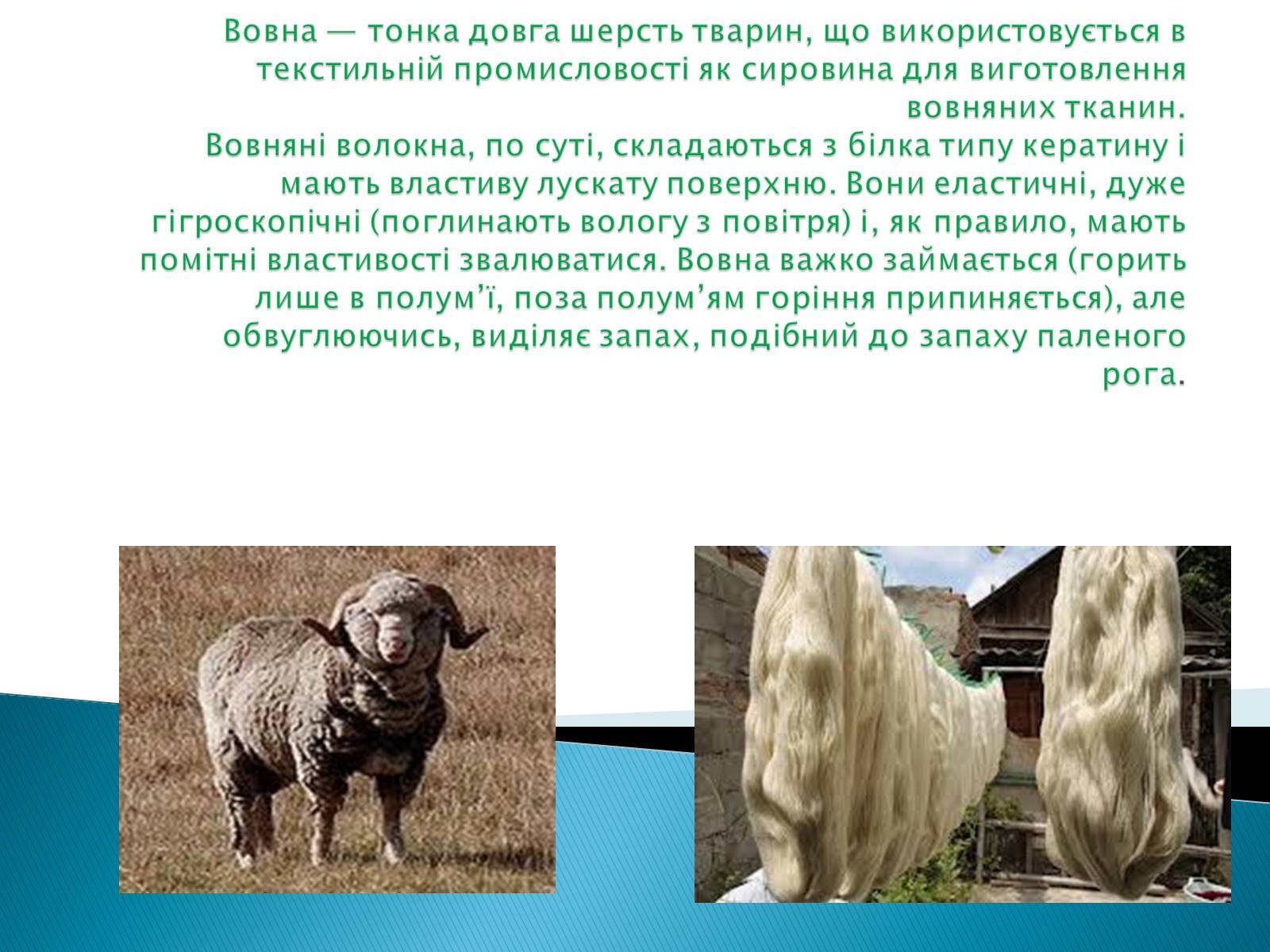 Презентація на тему «ПРИРОДНІ ВОЛОКНА» (варіант 2) - Слайд #12 Презентація на тему «ПРИРОДНІ ВОЛОКНА» (варіант 2) - Слайд #12