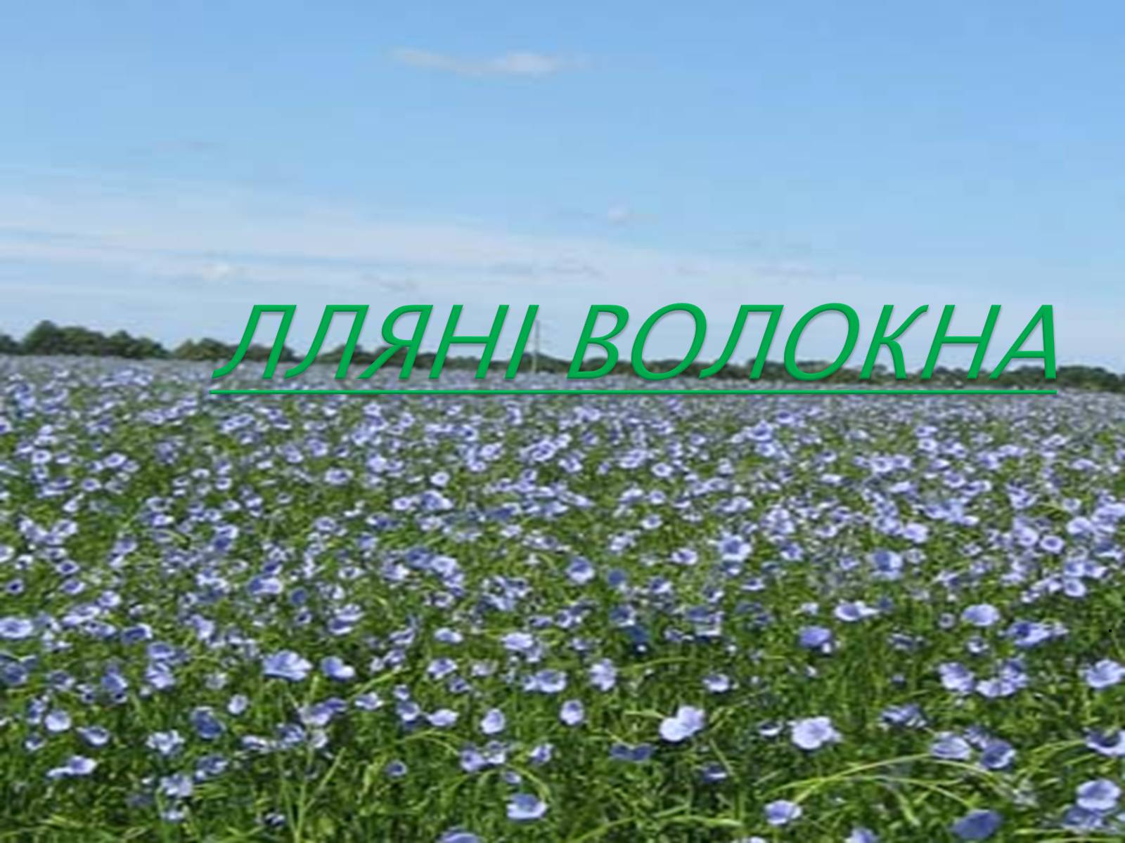 Презентація на тему «ПРИРОДНІ ВОЛОКНА» (варіант 2) - Слайд #2 Презентація на тему «ПРИРОДНІ ВОЛОКНА» (варіант 2) - Слайд #2