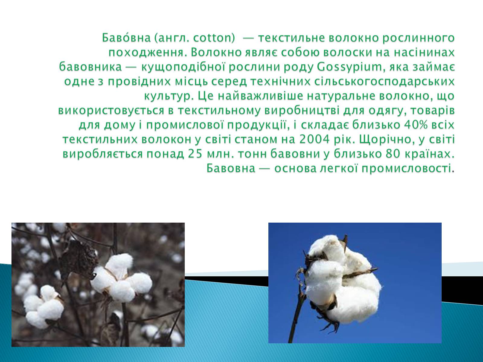 Презентація на тему «ПРИРОДНІ ВОЛОКНА» (варіант 2) - Слайд #20 Презентація на тему «ПРИРОДНІ ВОЛОКНА» (варіант 2) - Слайд #20