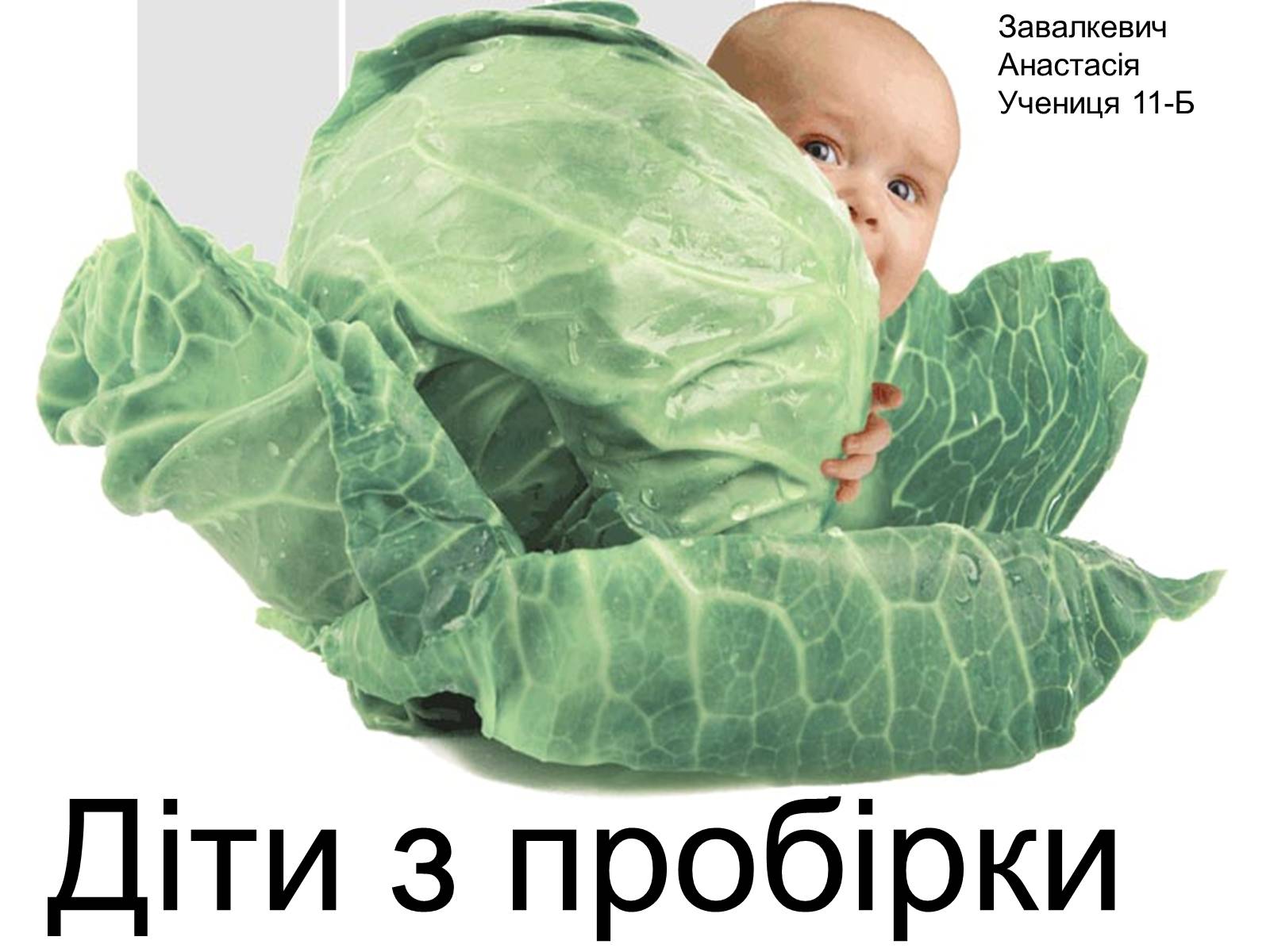 Презентація на тему «Діти з пробірки» - Слайд #1 Презентація на тему «Діти з пробірки» - Слайд #1
