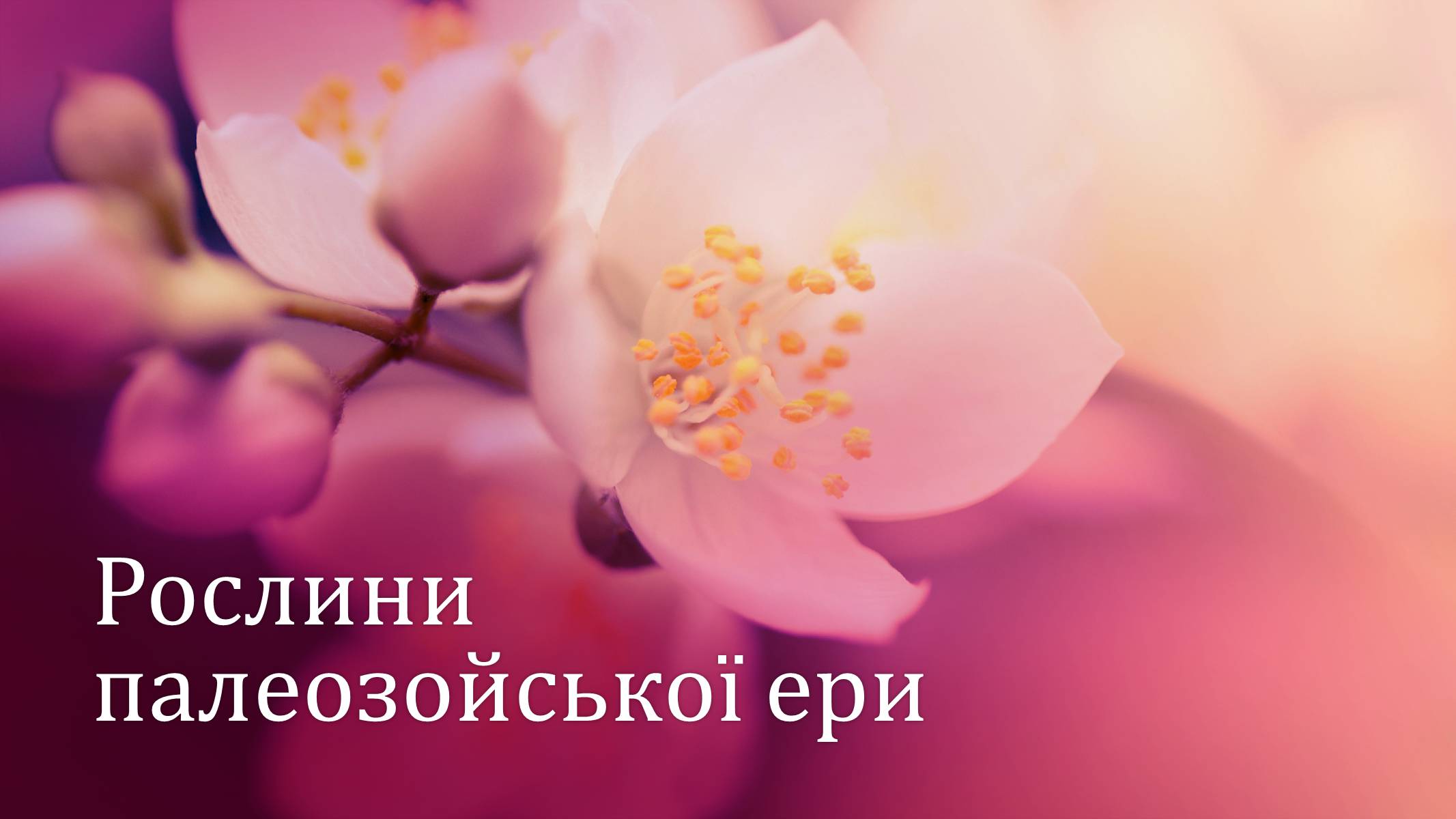 Презентація на тему «Рослини палеозойської ери» - Слайд #1 Презентація на тему «Рослини палеозойської ери» - Слайд #1