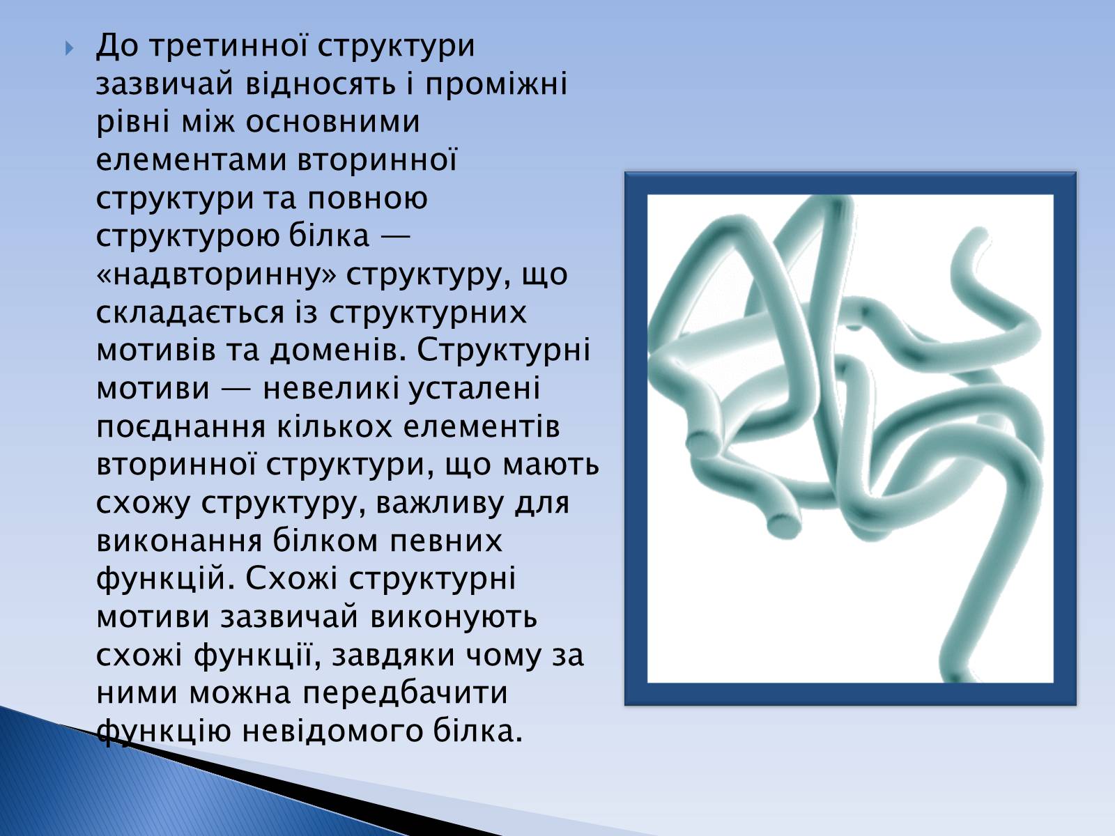 Презентація на тему «Білки» (варіант 12) - Слайд #33 Презентація на тему «Білки» (варіант 12) - Слайд #33