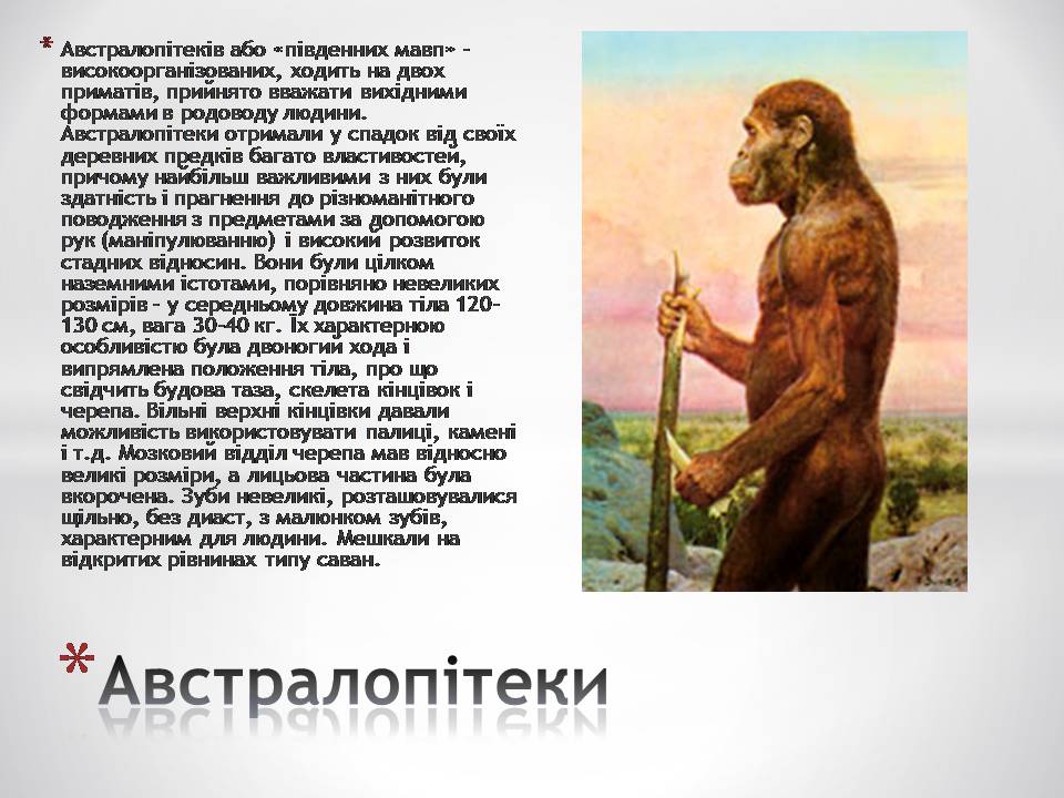 Презентація на тему «Антропогенез» (варіант 4) - Слайд #4 Презентація на тему «Антропогенез» (варіант 4) - Слайд #4