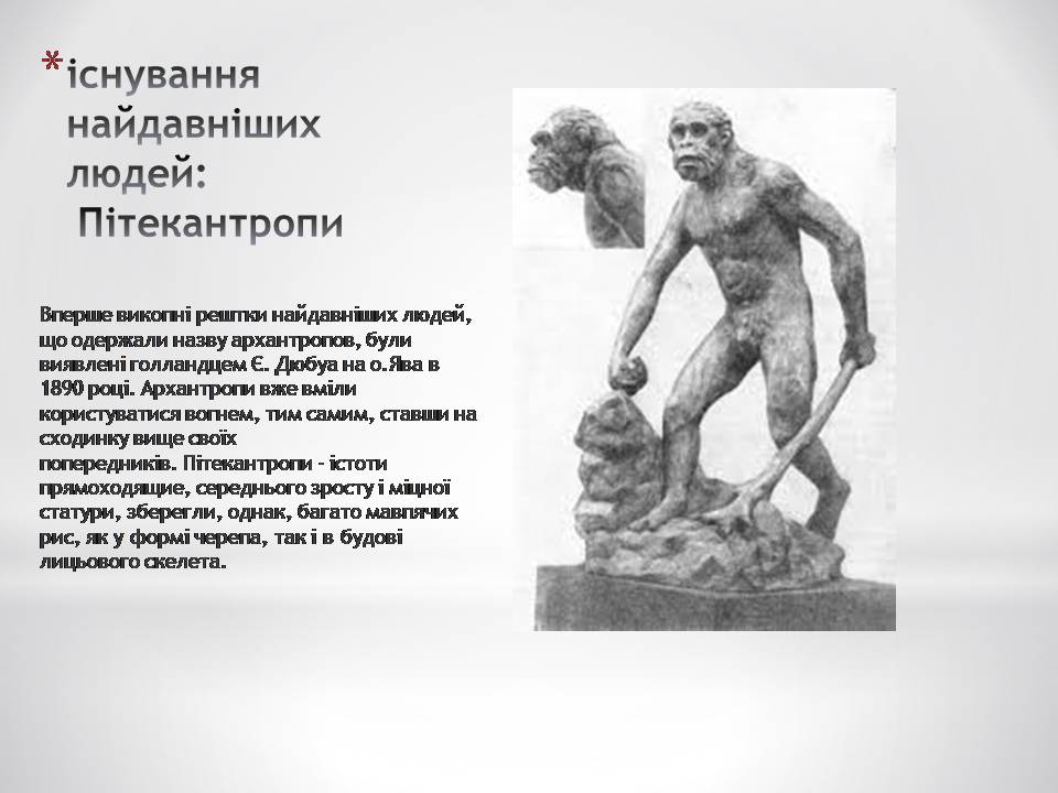 Презентація на тему «Антропогенез» (варіант 4) - Слайд #5 Презентація на тему «Антропогенез» (варіант 4) - Слайд #5