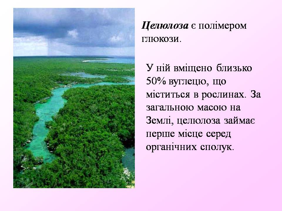 Презентація на тему «Вуглеводи як компоненти їжі, їх роль у житті людини» (варіант 40) - Слайд #25