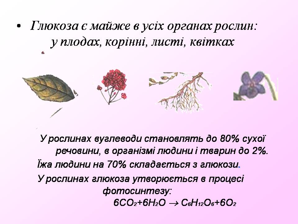 Презентація на тему «Вуглеводи як компоненти їжі, їх роль у житті людини» (варіант 40) - Слайд #9