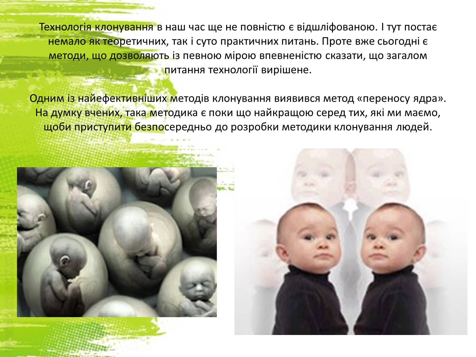Презентація на тему «Клонування» (варіант 9) - Слайд #5 Презентація на тему «Клонування» (варіант 9) - Слайд #5