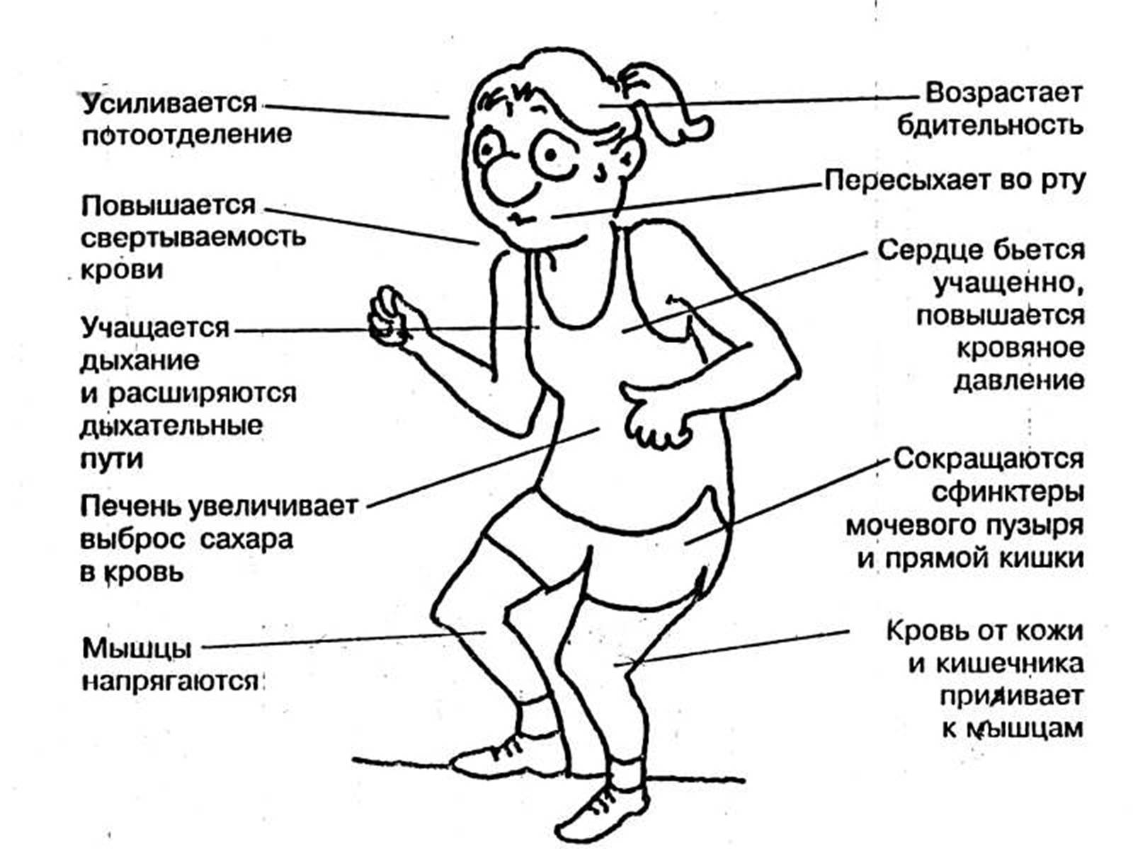 Презентація на тему «Стрес» (варіант 1) - Слайд #4 Презентація на тему «Стрес» (варіант 1) - Слайд #4