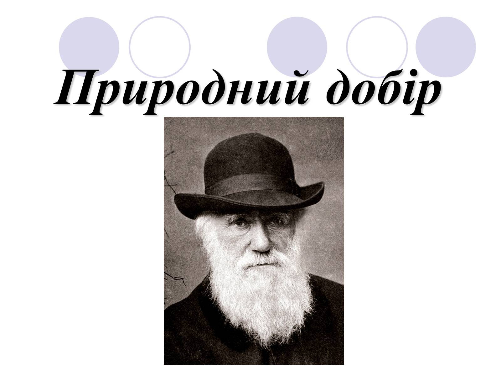 Презентація на тему «Природний добір» - Слайд #1 Презентація на тему «Природний добір» - Слайд #1