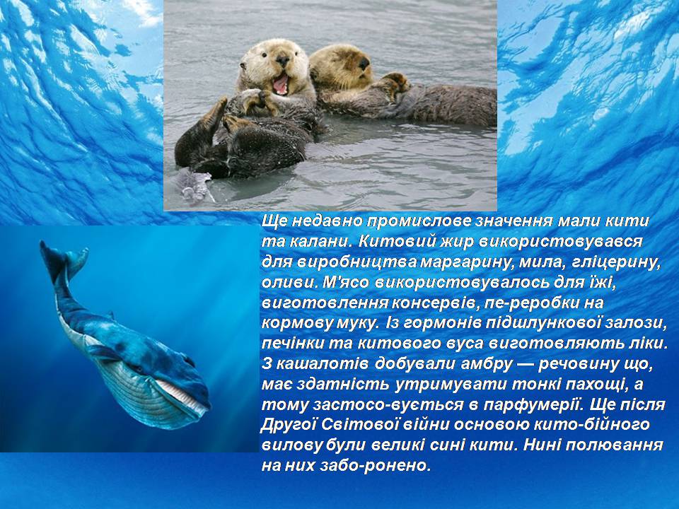 Презентація на тему «Біологічні ресурси світового океану» - Слайд #8 Презентація на тему «Біологічні ресурси світового океану» - Слайд #8