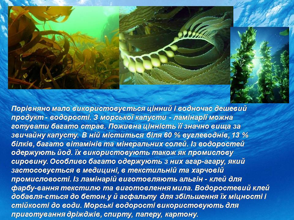 Презентація на тему «Біологічні ресурси світового океану» - Слайд #9 Презентація на тему «Біологічні ресурси світового океану» - Слайд #9