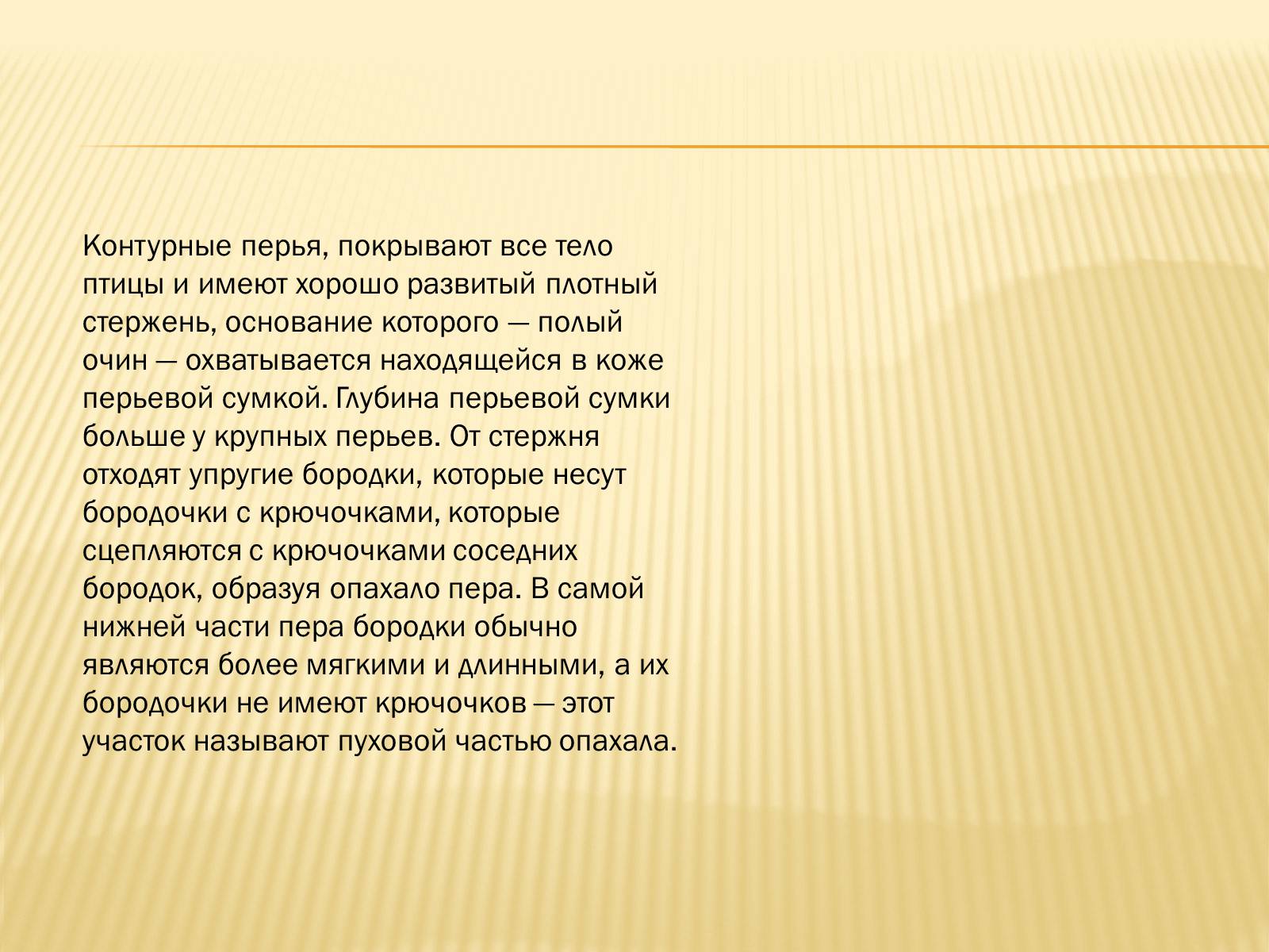 Презентація на тему «Птицы» (варіант 3) - Слайд #41 Презентація на тему «Птицы» (варіант 3) - Слайд #41