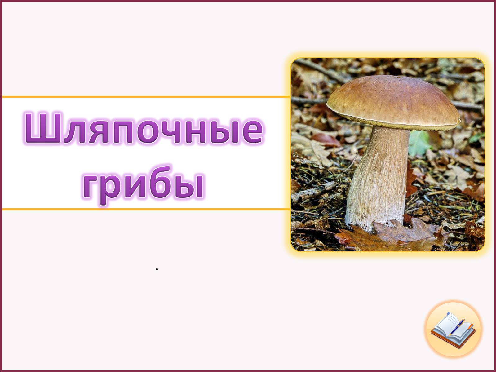 Презентація на тему «Шляпочные грибы» - Слайд #1 Презентація на тему «Шляпочные грибы» - Слайд #1