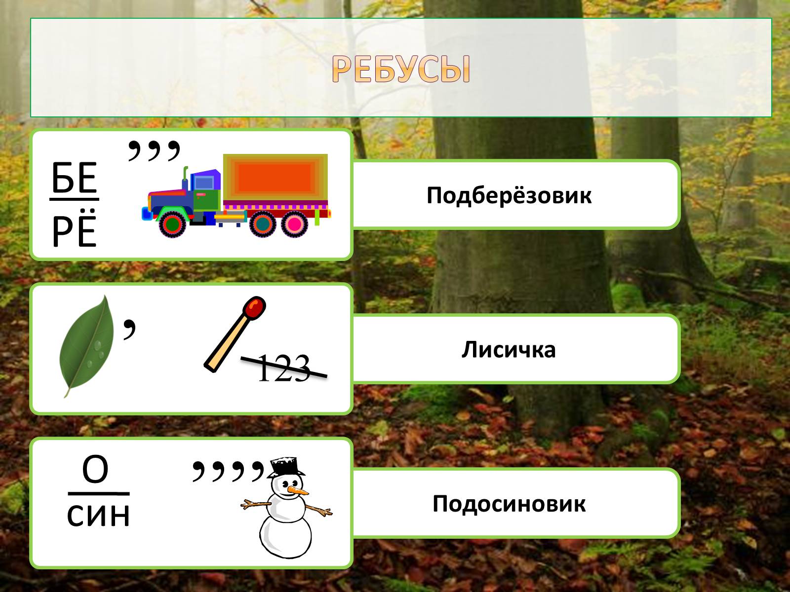 Презентація на тему «Шляпочные грибы» - Слайд #16 Презентація на тему «Шляпочные грибы» - Слайд #16