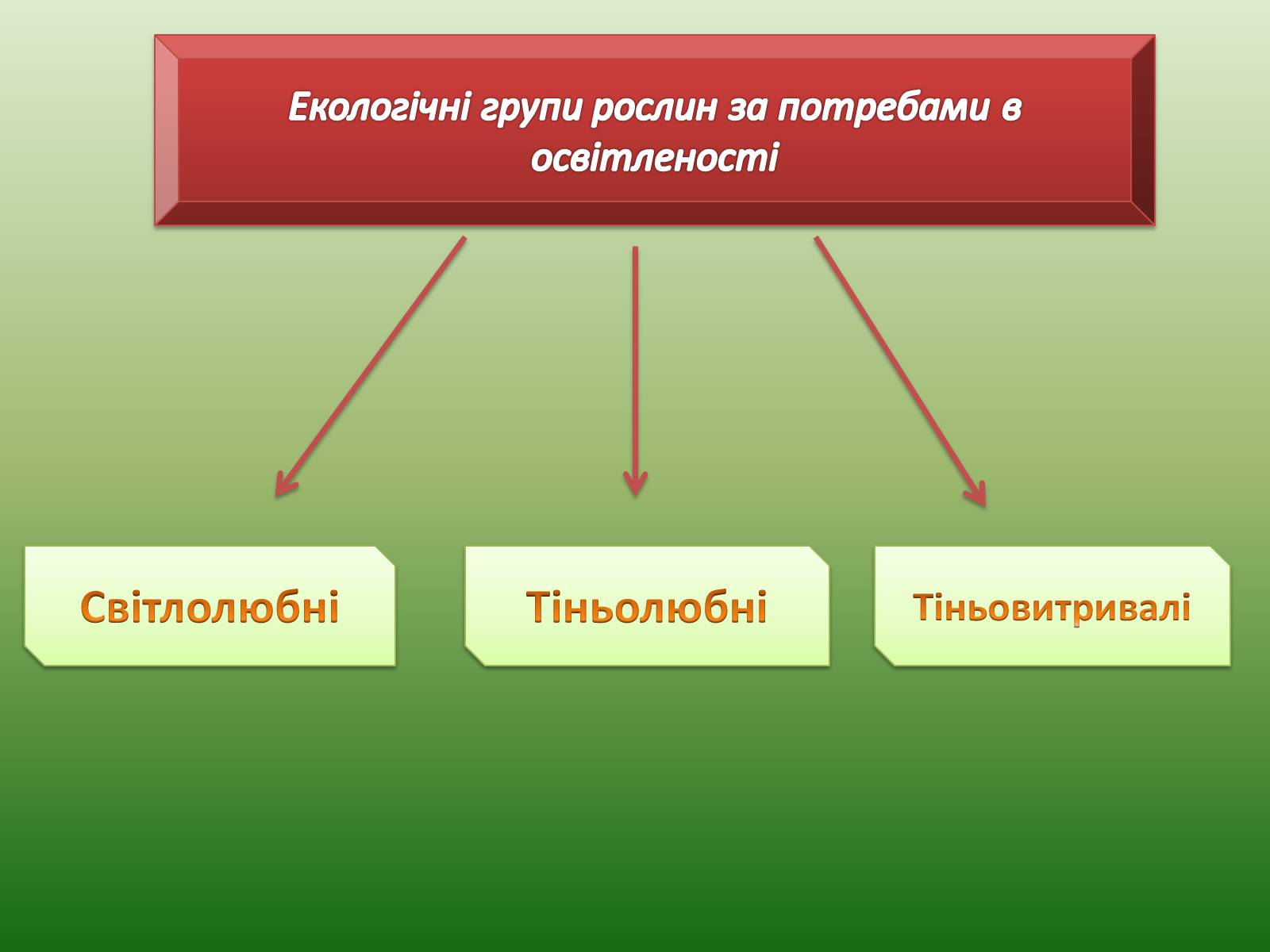 Презентація на тему «Наземно-повітряне середовище існування» (варіант 1) - Слайд #5 Презентація на тему «Наземно-повітряне середовище існування» (варіант 1) - Слайд #5