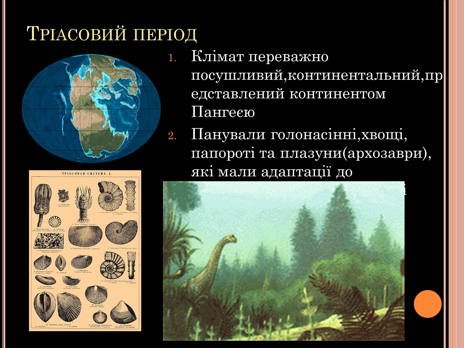 Презентація на тему «Розвиток органічного світу в мезозойську еру» (варіант 1) - Слайд #5 Презентація на тему «Розвиток органічного світу в мезозойську еру» (варіант 1) - Слайд #5