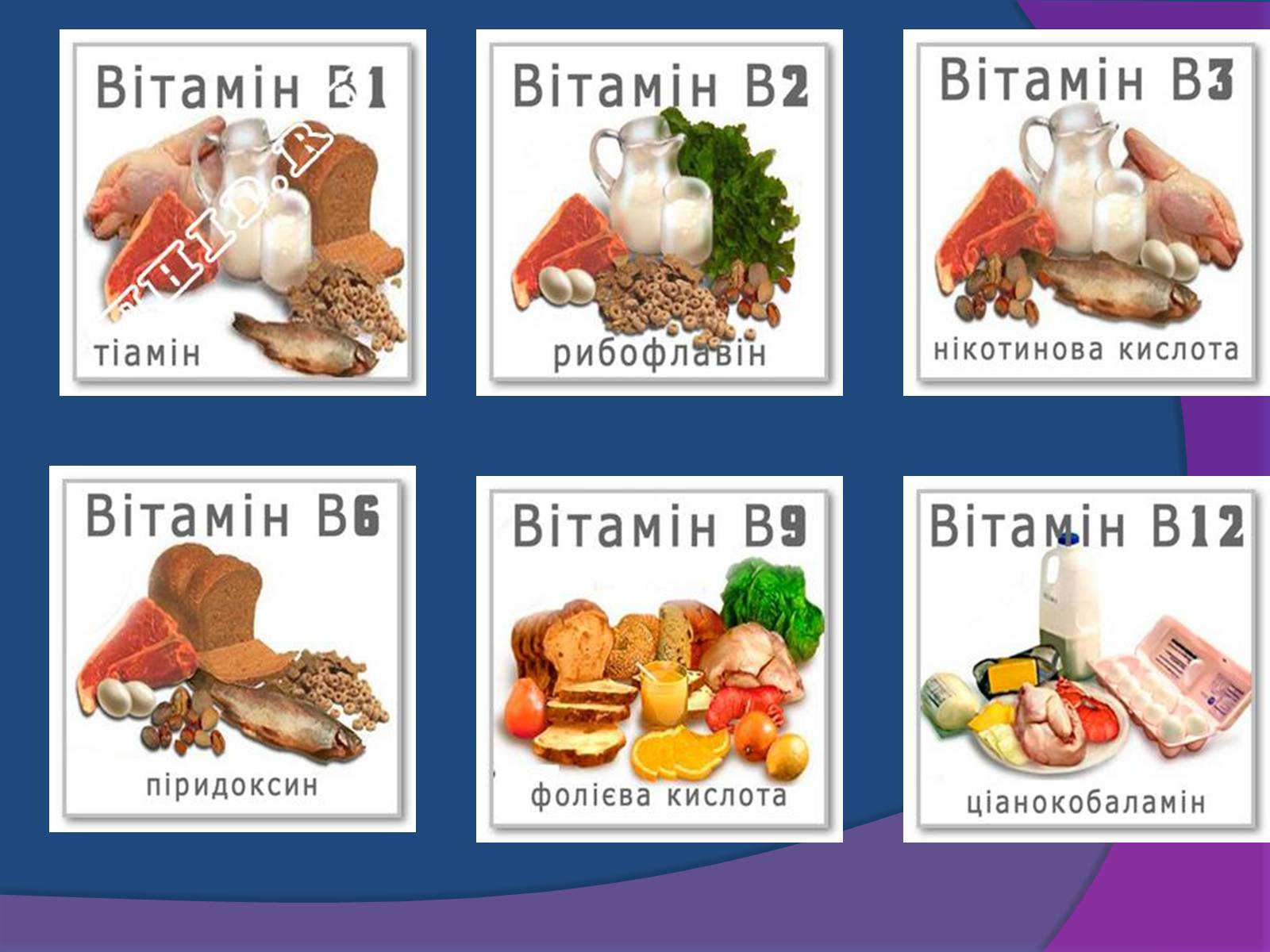 Презентація на тему «Типи поживних речовин та вітаміни» - Слайд #9 Презентація на тему «Типи поживних речовин та вітаміни» - Слайд #9