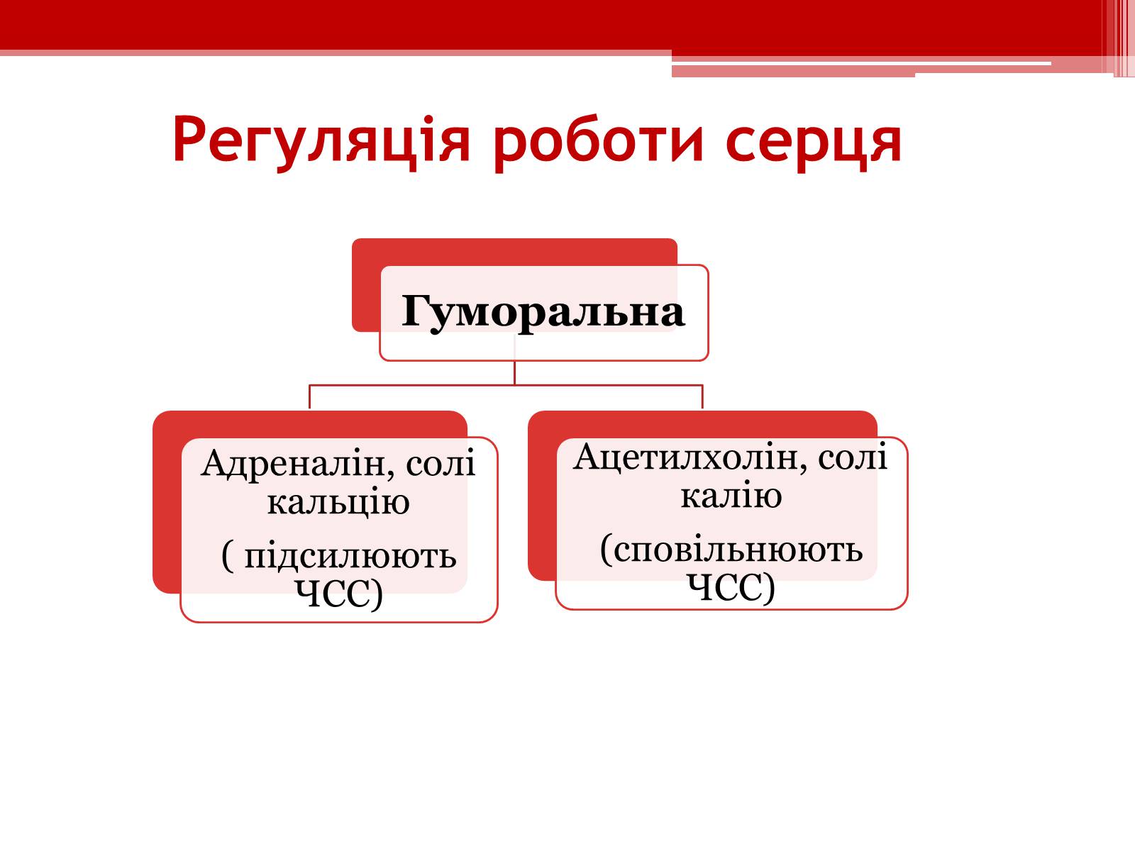 Презентація на тему «Серцевий цикл. Робота серця» - Слайд #10 Презентація на тему «Серцевий цикл. Робота серця» - Слайд #10