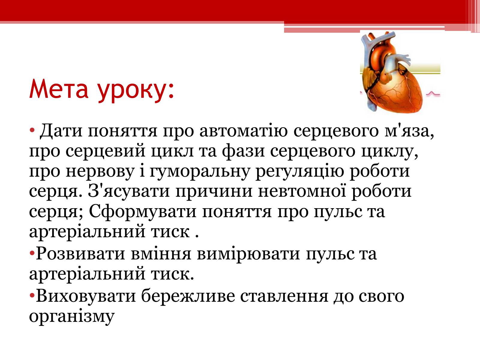 Презентація на тему «Серцевий цикл. Робота серця» - Слайд #2 Презентація на тему «Серцевий цикл. Робота серця» - Слайд #2