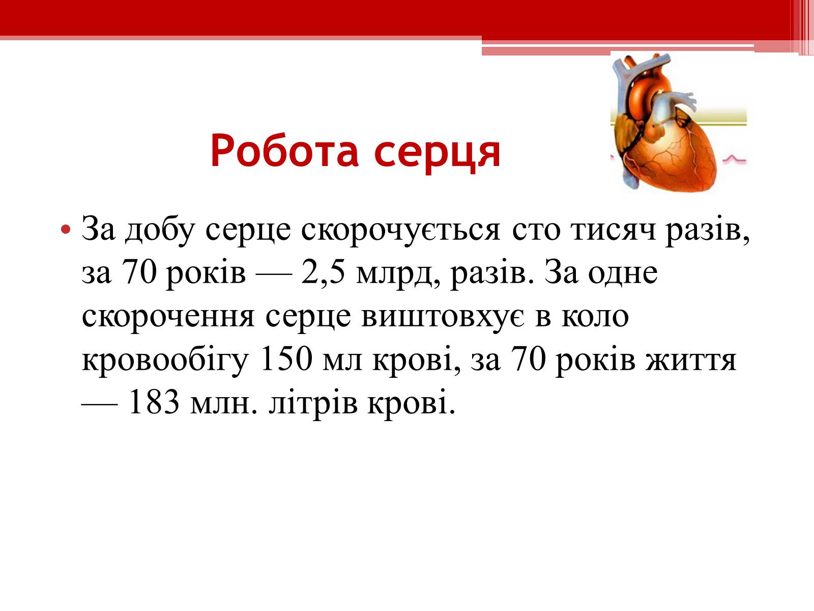 Презентація на тему «Серцевий цикл. Робота серця» - Слайд #5 Презентація на тему «Серцевий цикл. Робота серця» - Слайд #5