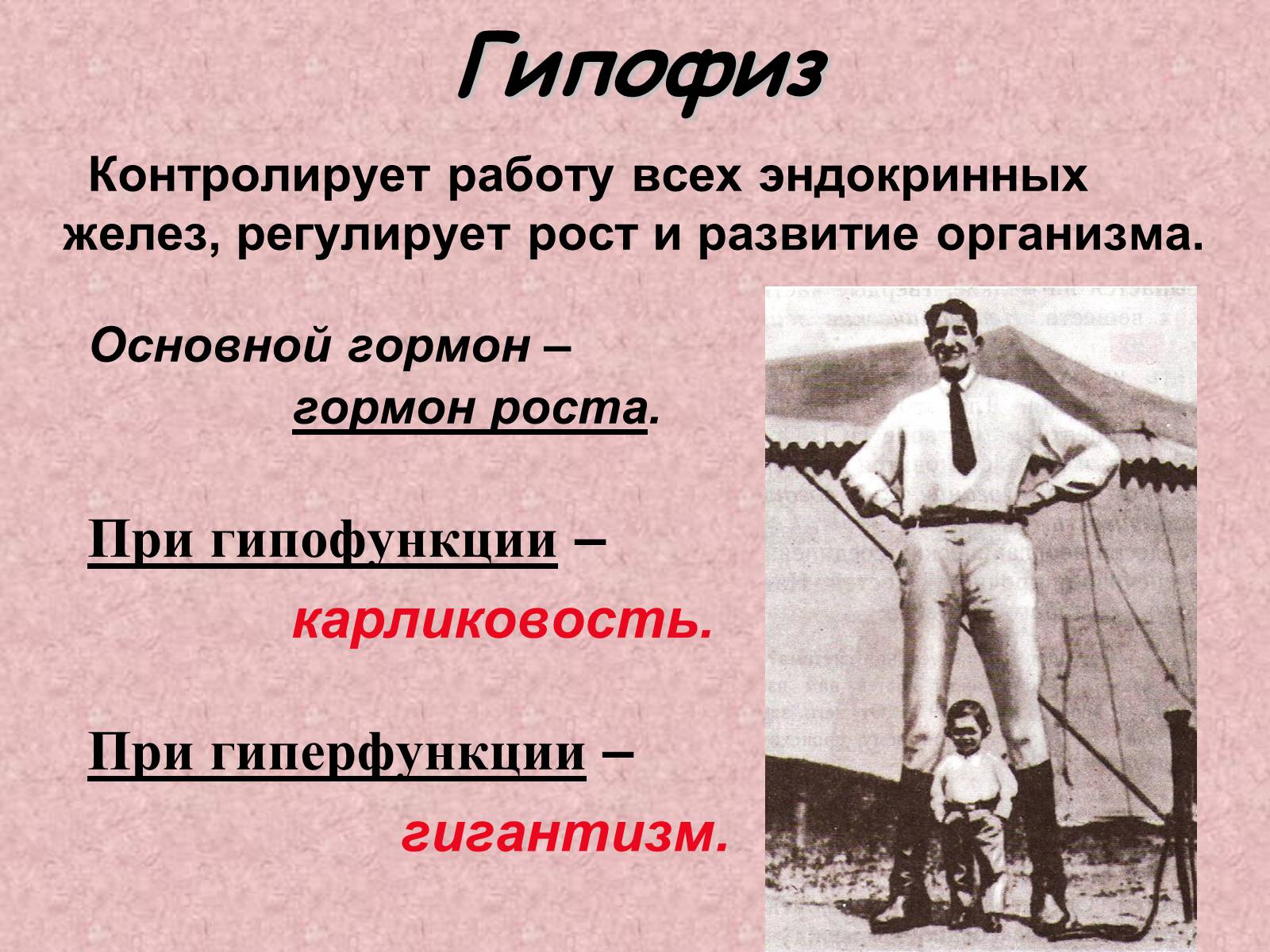 Презентація на тему «Эндокринные железы» - Слайд #11 Презентація на тему «Эндокринные железы» - Слайд #11