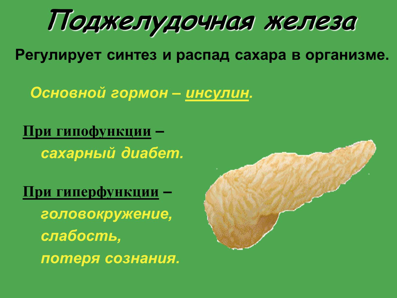 Презентація на тему «Эндокринные железы» - Слайд #17 Презентація на тему «Эндокринные железы» - Слайд #17