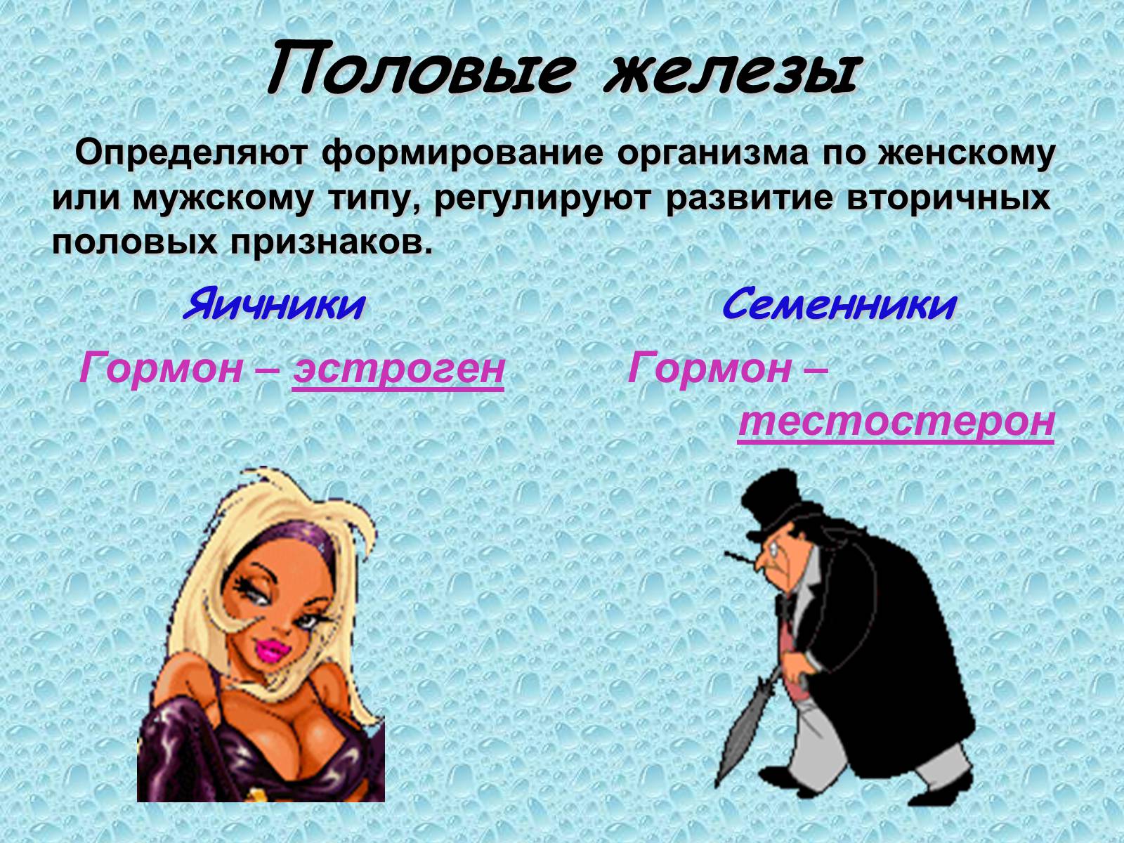 Презентація на тему «Эндокринные железы» - Слайд #18 Презентація на тему «Эндокринные железы» - Слайд #18