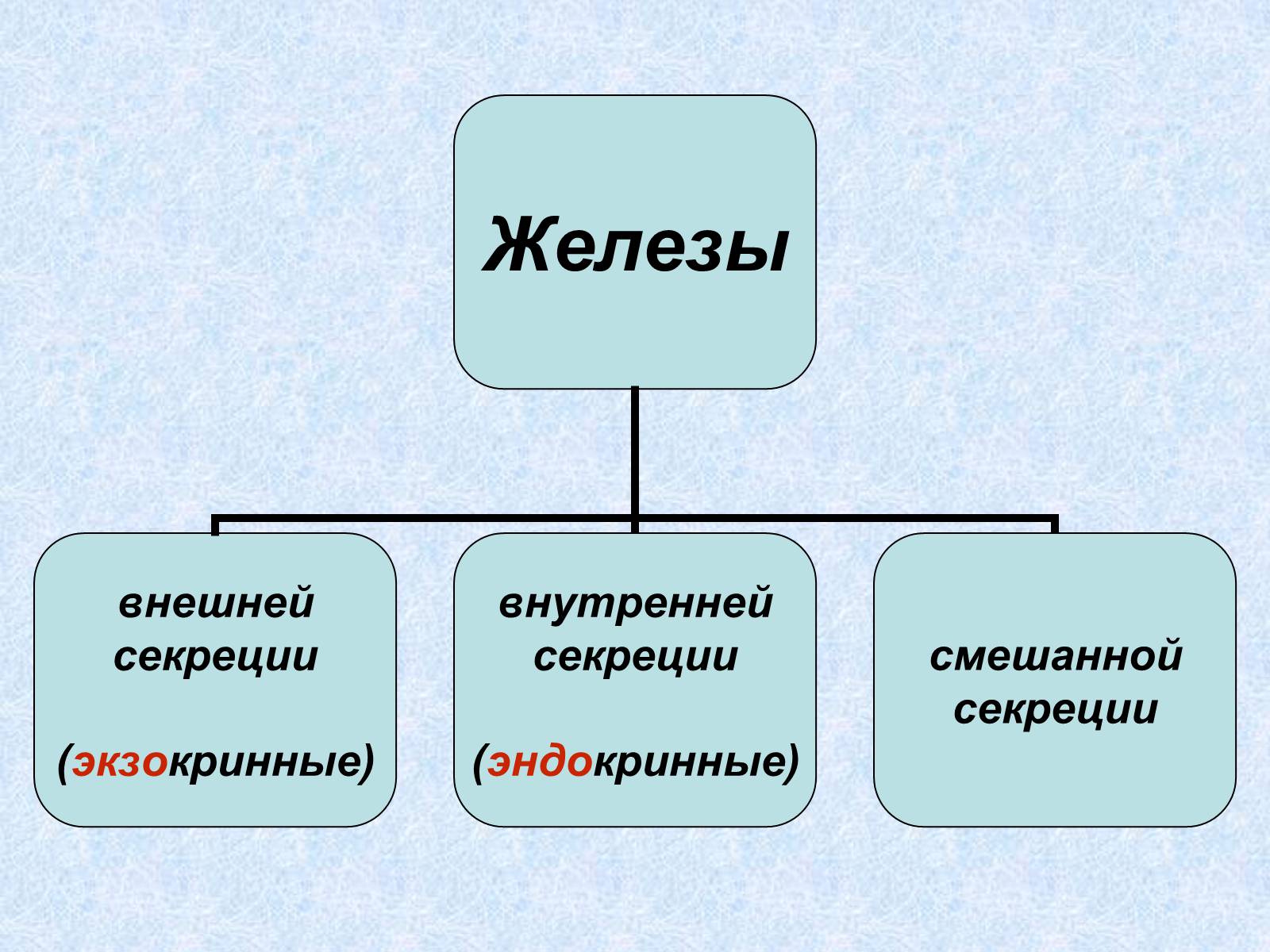Презентація на тему «Эндокринные железы» - Слайд #4 Презентація на тему «Эндокринные железы» - Слайд #4