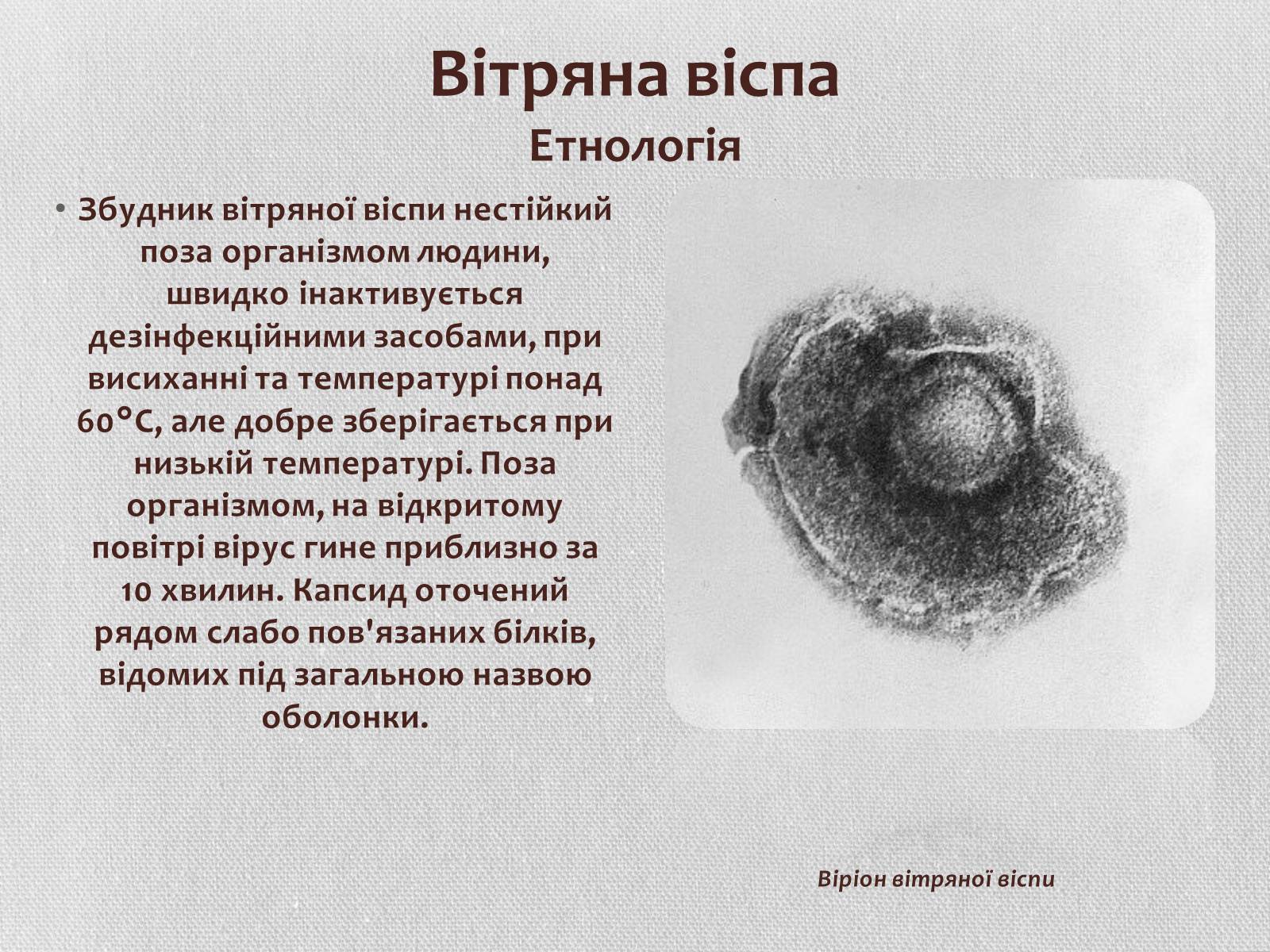 Презентація на тему «Вірус віспи» - Слайд #10 Презентація на тему «Вірус віспи» - Слайд #10