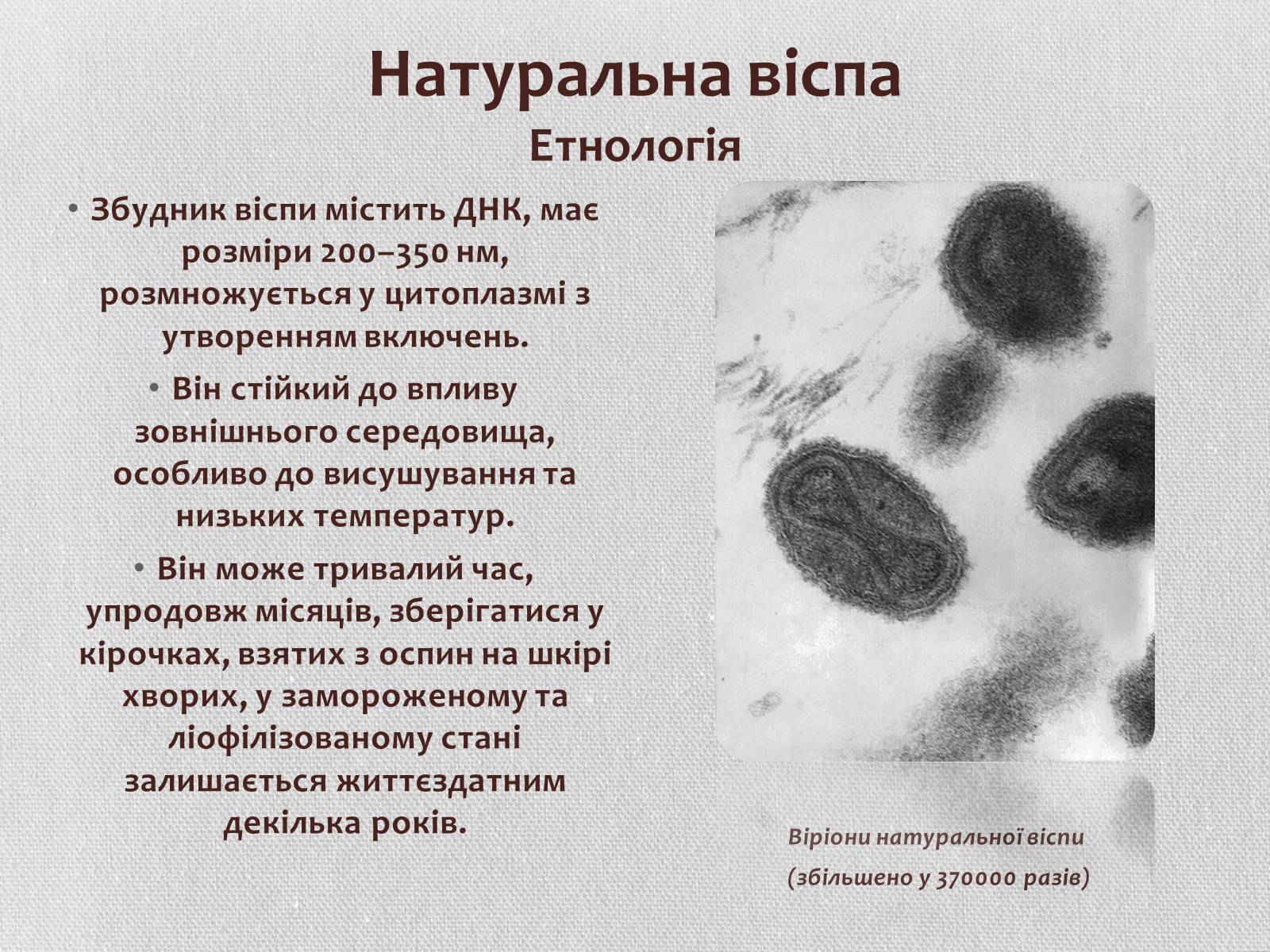 Презентація на тему «Вірус віспи» - Слайд #6 Презентація на тему «Вірус віспи» - Слайд #6
