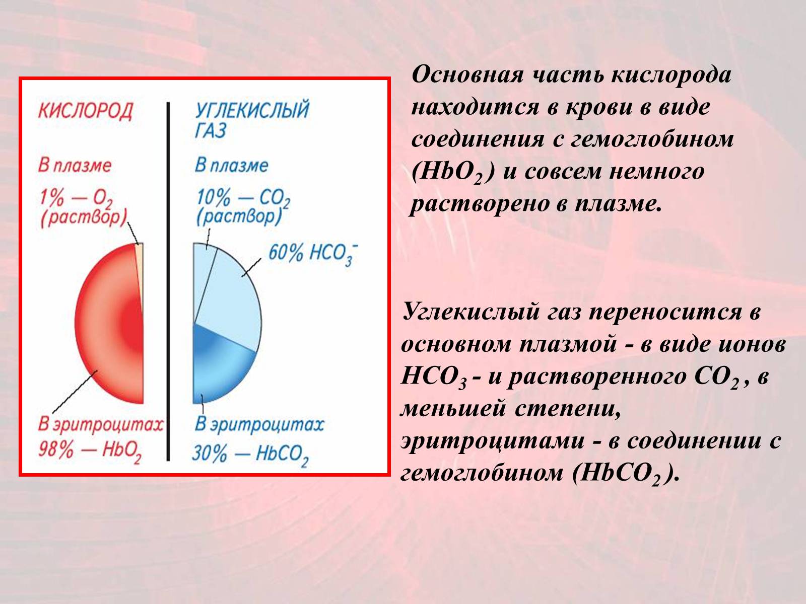 Презентація на тему «Газообмен в лёгких и тканях» - Слайд #11 Презентація на тему «Газообмен в лёгких и тканях» - Слайд #11