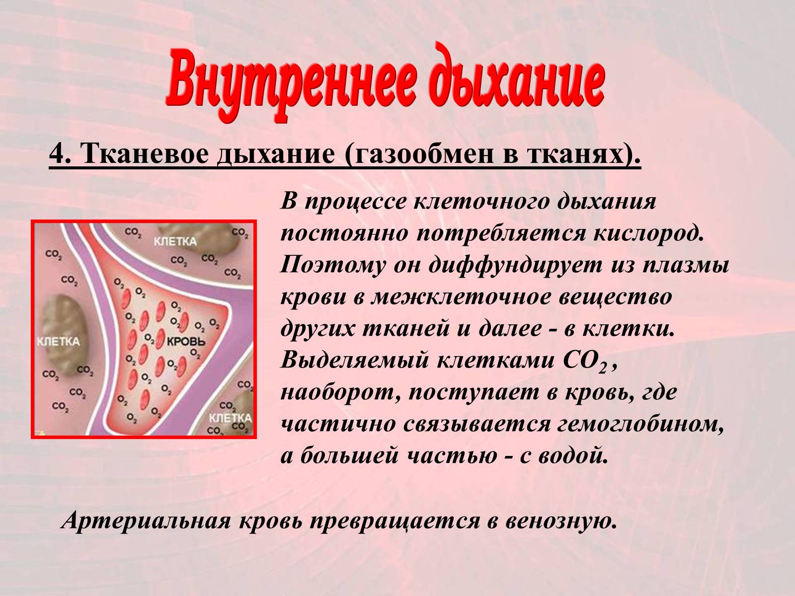 Презентація на тему «Газообмен в лёгких и тканях» - Слайд #14 Презентація на тему «Газообмен в лёгких и тканях» - Слайд #14