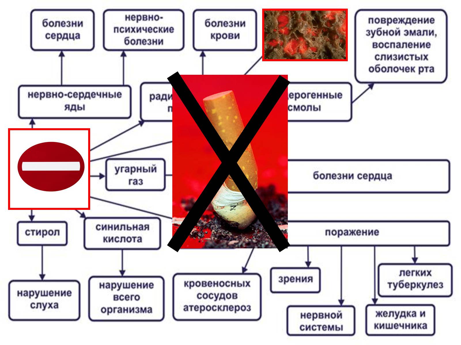 Презентація на тему «Газообмен в лёгких и тканях» - Слайд #19 Презентація на тему «Газообмен в лёгких и тканях» - Слайд #19