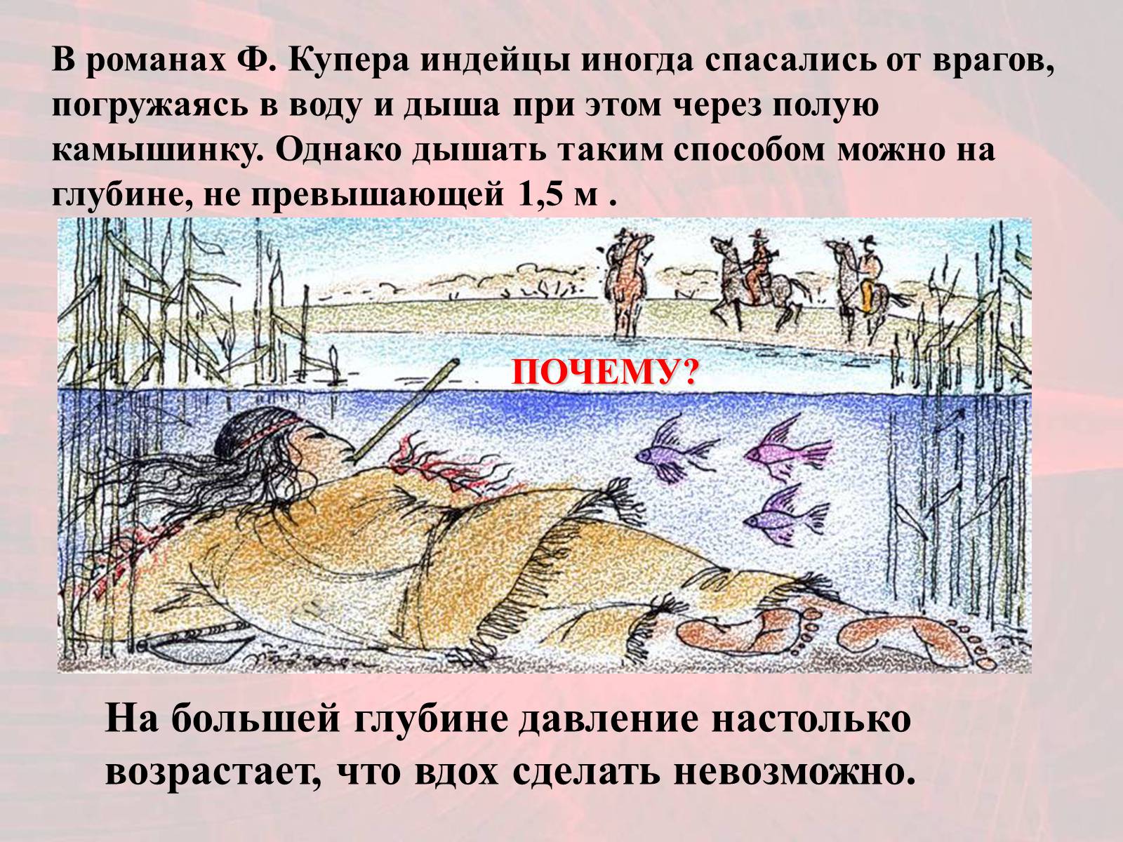 Презентація на тему «Газообмен в лёгких и тканях» - Слайд #22 Презентація на тему «Газообмен в лёгких и тканях» - Слайд #22